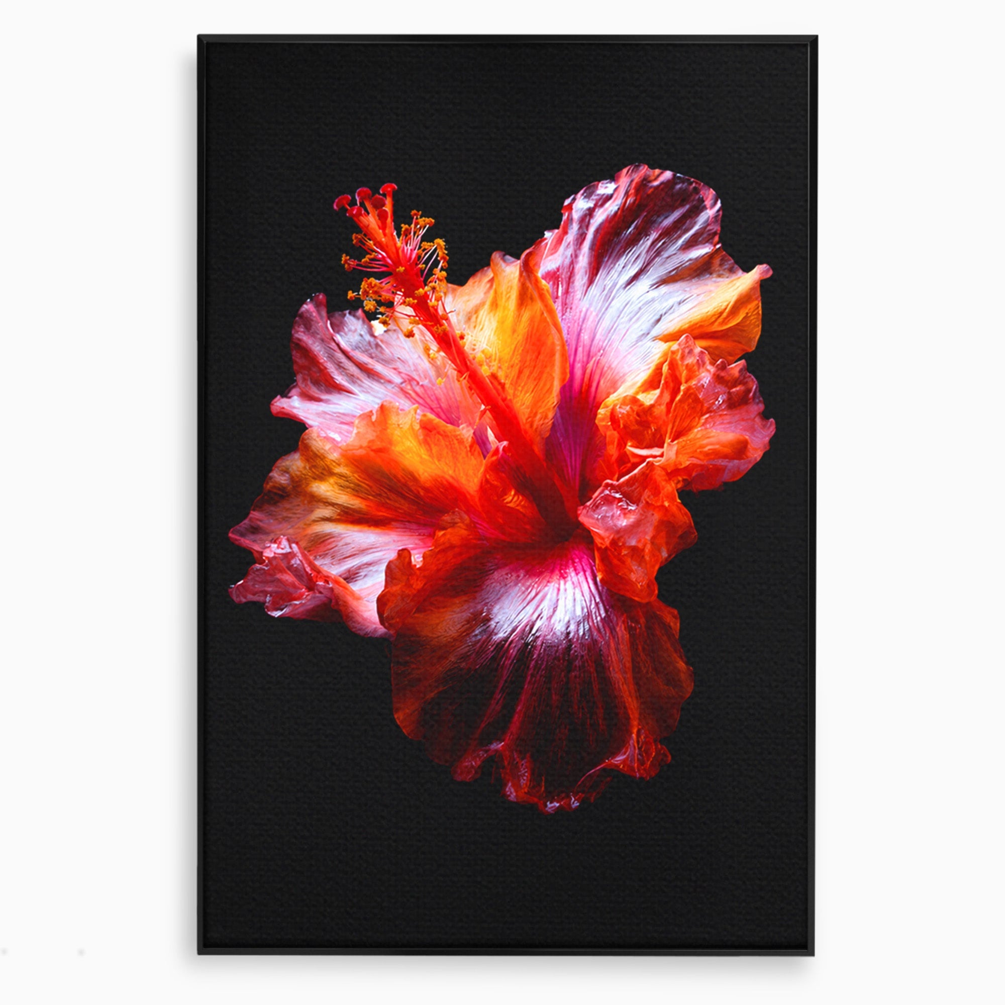 Tablou Canvas Premium LuxCanva® A1805, Floare De Hibiscus, Floare, Hibiscus, Natura, Dormitor, Living, Culori Vibrante