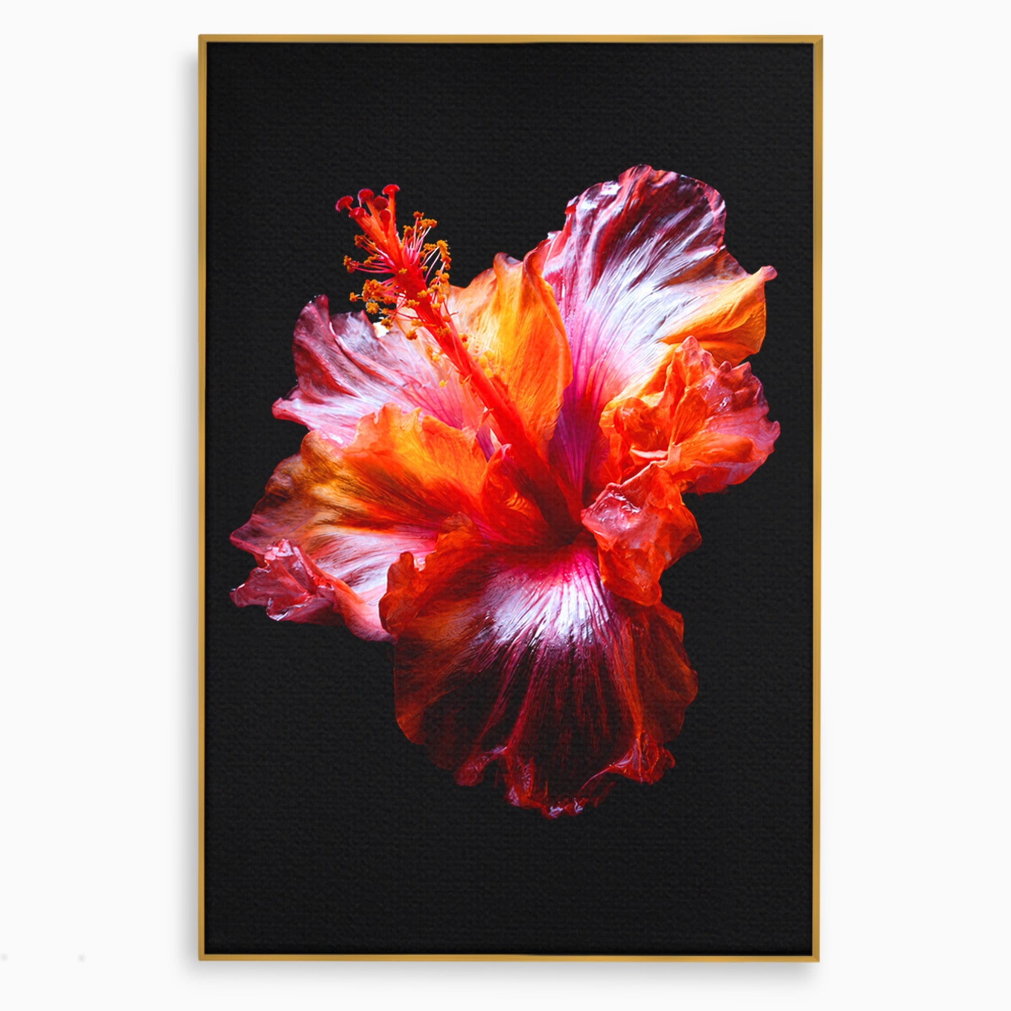 Tablou Canvas Premium LuxCanva® A1805, Floare De Hibiscus, Floare, Hibiscus, Natura, Dormitor, Living, Culori Vibrante