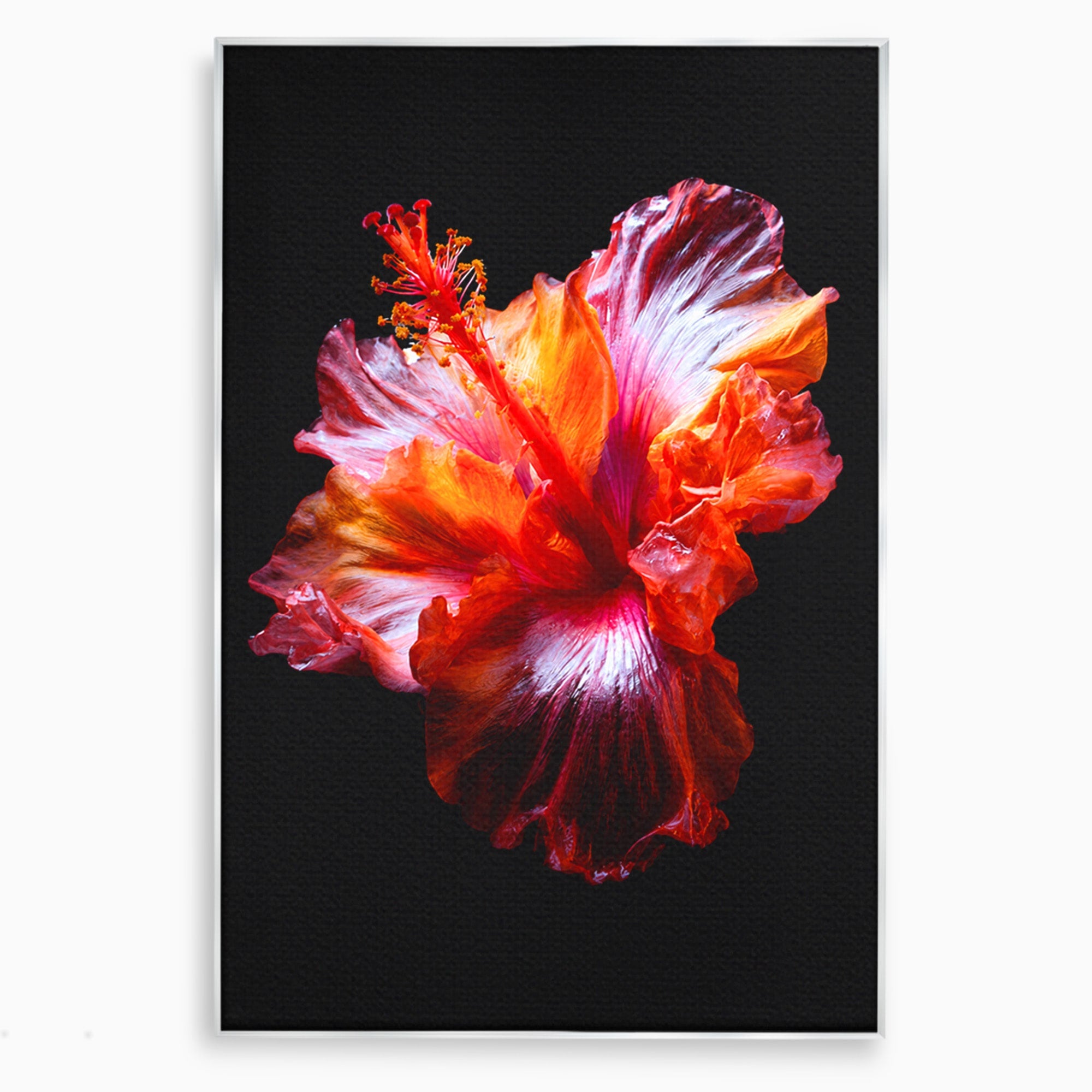 Tablou Canvas Premium LuxCanva® A1805, Floare De Hibiscus, Floare, Hibiscus, Natura, Dormitor, Living, Culori Vibrante