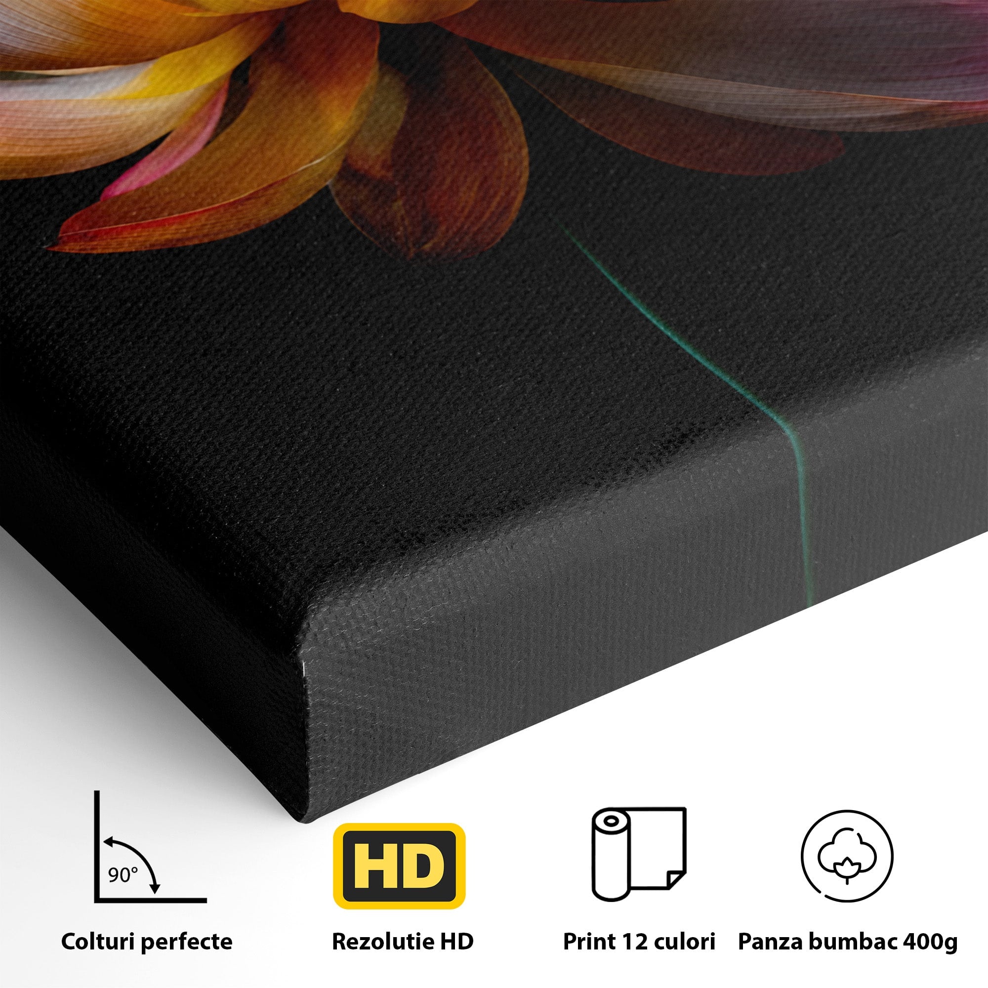 Tablou Canvas Premium LuxCanva® A1806, Splendoare Nocturnă, Lotus, Floare, Natura, Eleganta, Dormitor, Living, Culori Vibrante