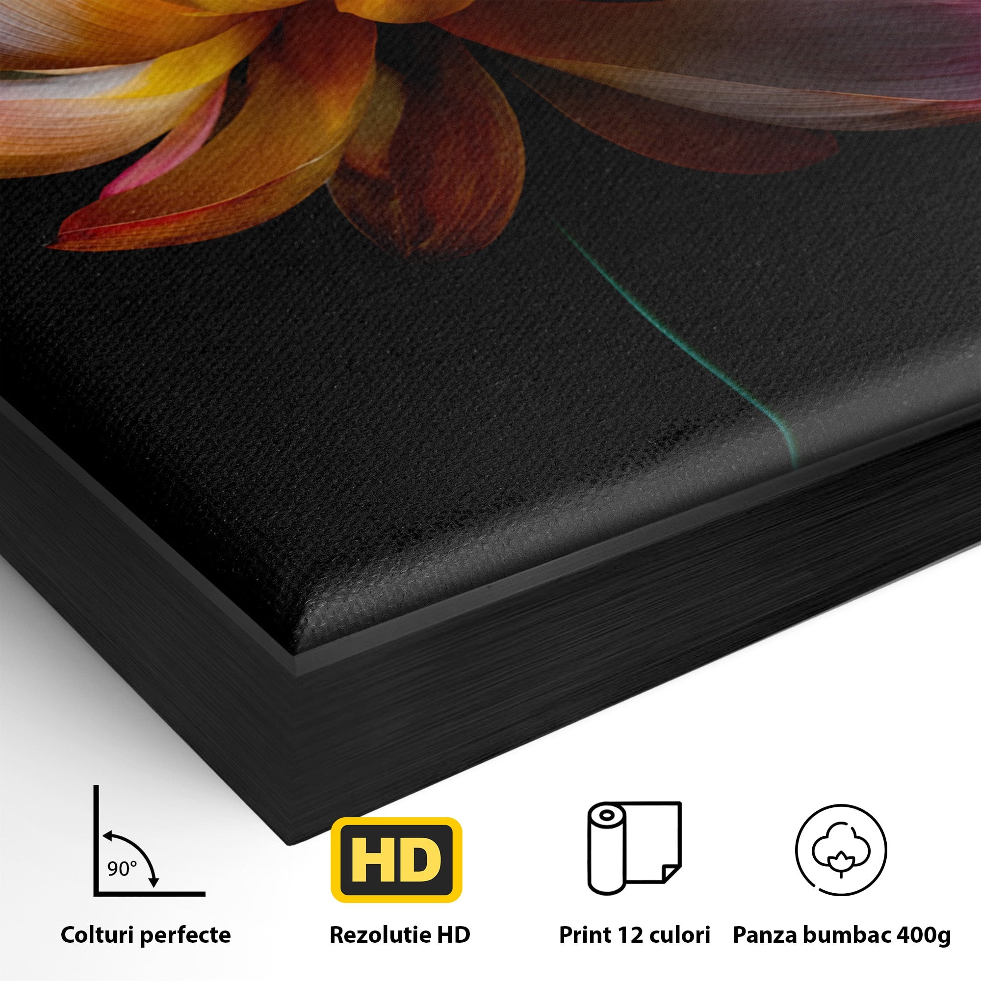 Tablou Canvas Premium LuxCanva® A1806, Splendoare Nocturnă, Lotus, Floare, Natura, Eleganta, Dormitor, Living, Culori Vibrante