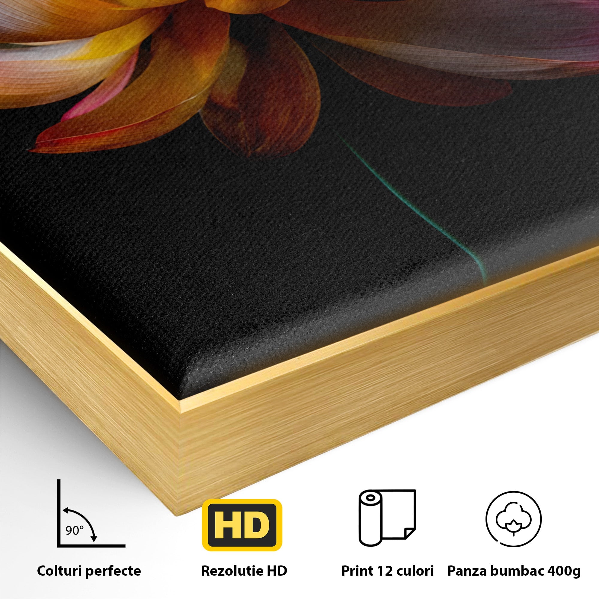 Tablou Canvas Premium LuxCanva® A1806, Splendoare Nocturnă, Lotus, Floare, Natura, Eleganta, Dormitor, Living, Culori Vibrante