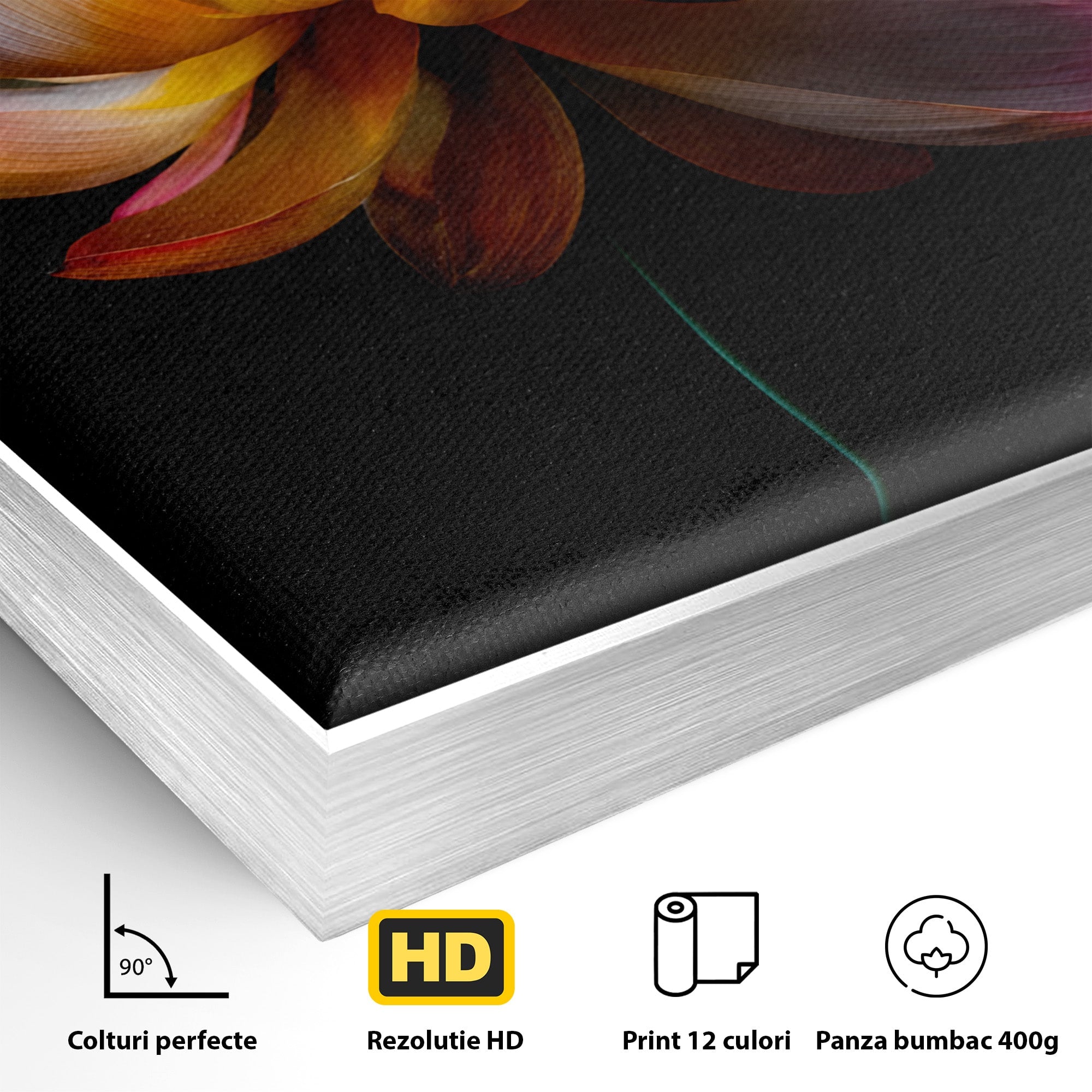 Tablou Canvas Premium LuxCanva® A1806, Splendoare Nocturnă, Lotus, Floare, Natura, Eleganta, Dormitor, Living, Culori Vibrante