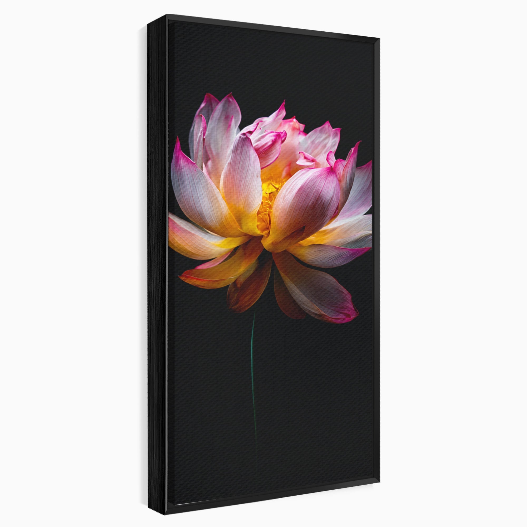Tablou Canvas Premium LuxCanva® A1806, Splendoare Nocturnă, Lotus, Floare, Natura, Eleganta, Dormitor, Living, Culori Vibrante