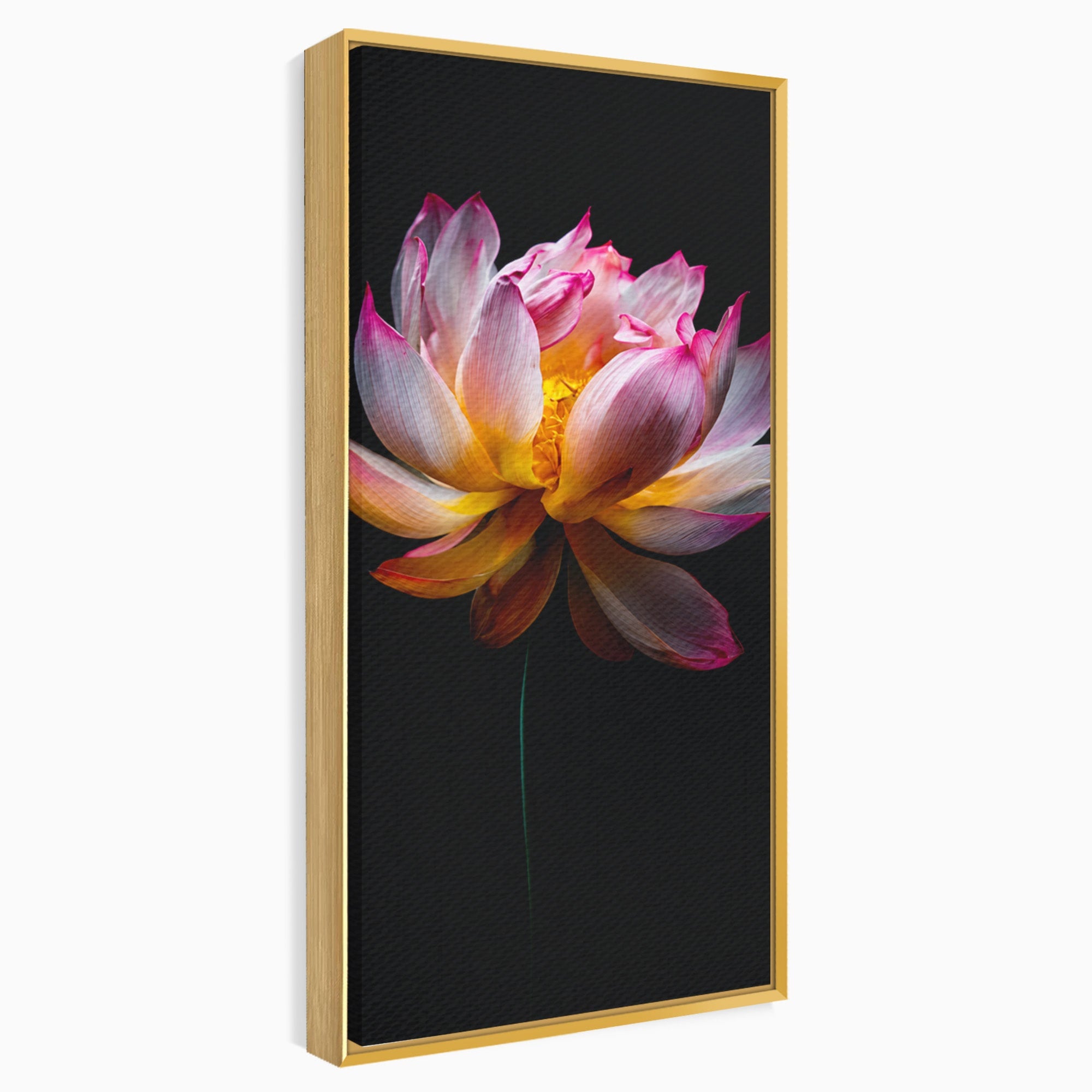 Tablou Canvas Premium LuxCanva® A1806, Splendoare Nocturnă, Lotus, Floare, Natura, Eleganta, Dormitor, Living, Culori Vibrante