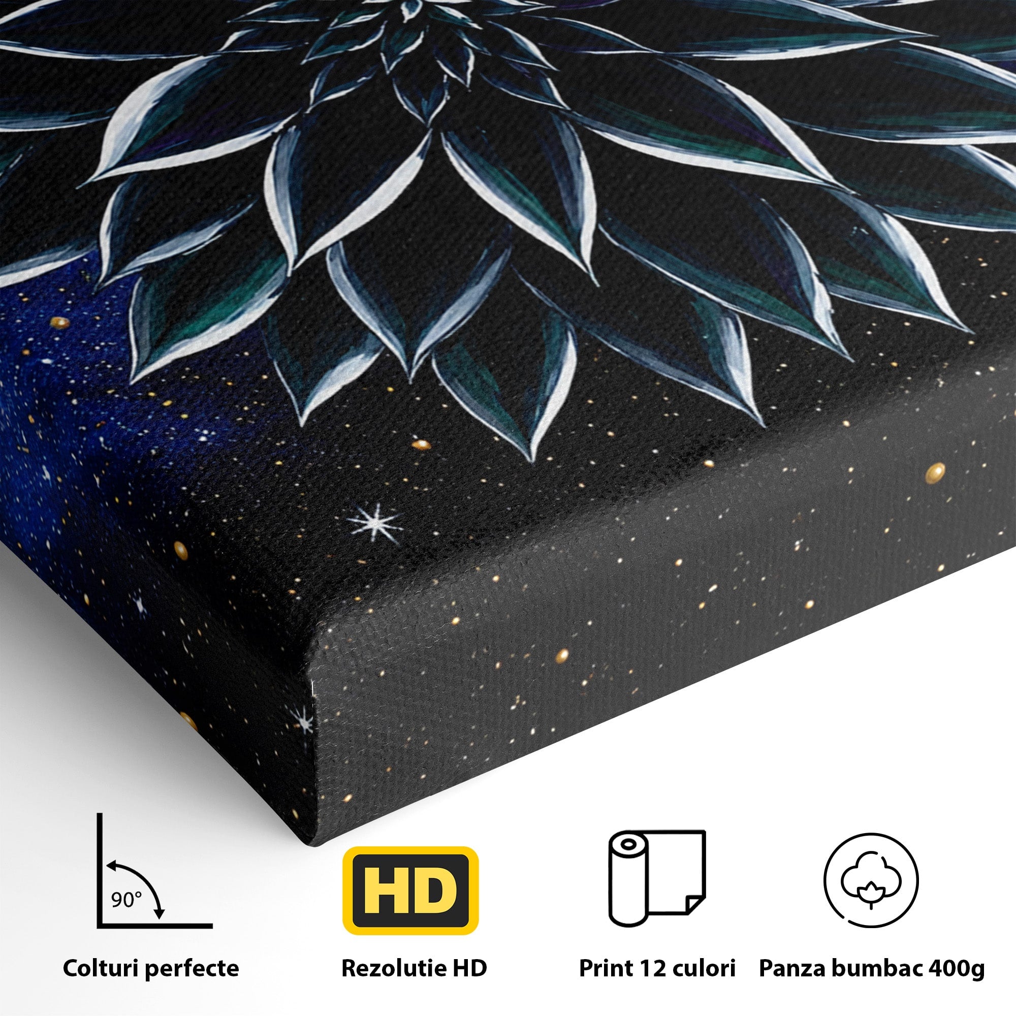 Tablou Canvas Premium LuxCanva® A1815, Floare Galactica, Floare, Univers, Abstract, Spatiu, Mister, Dormitor, Culori Vibrante