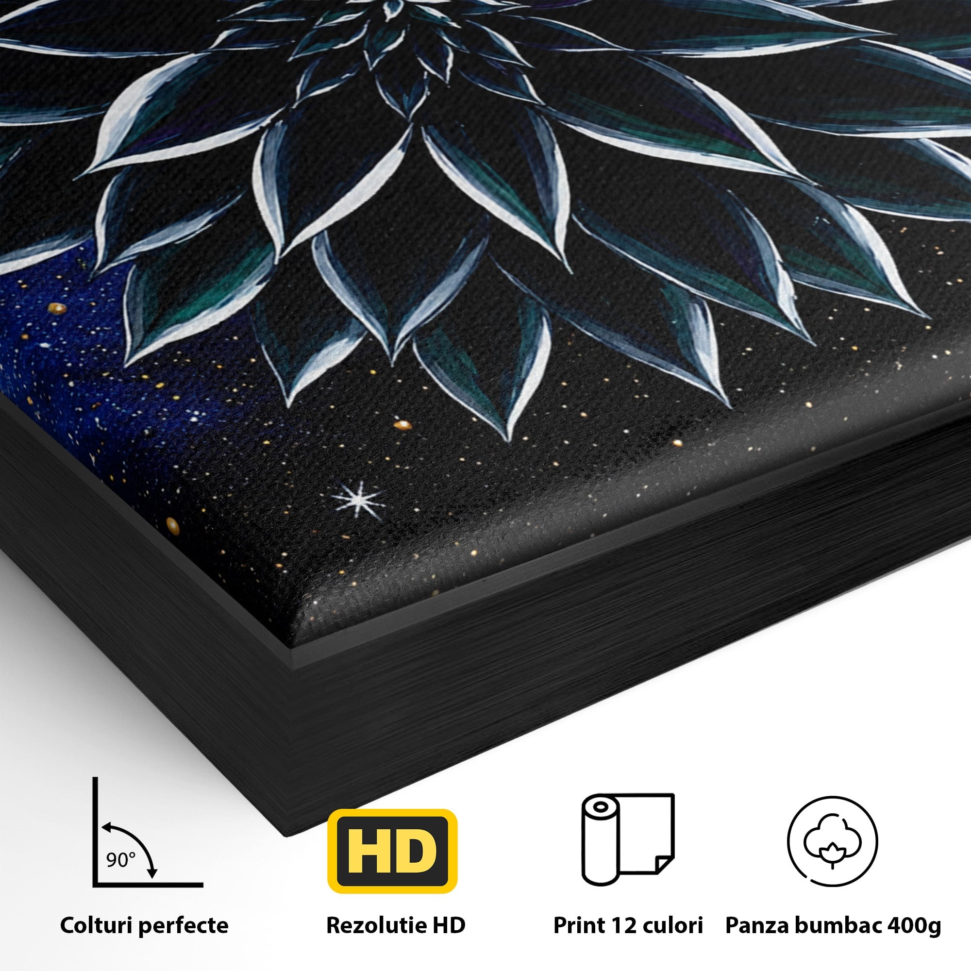 Tablou Canvas Premium LuxCanva® A1815, Floare Galactica, Floare, Univers, Abstract, Spatiu, Mister, Dormitor, Culori Vibrante