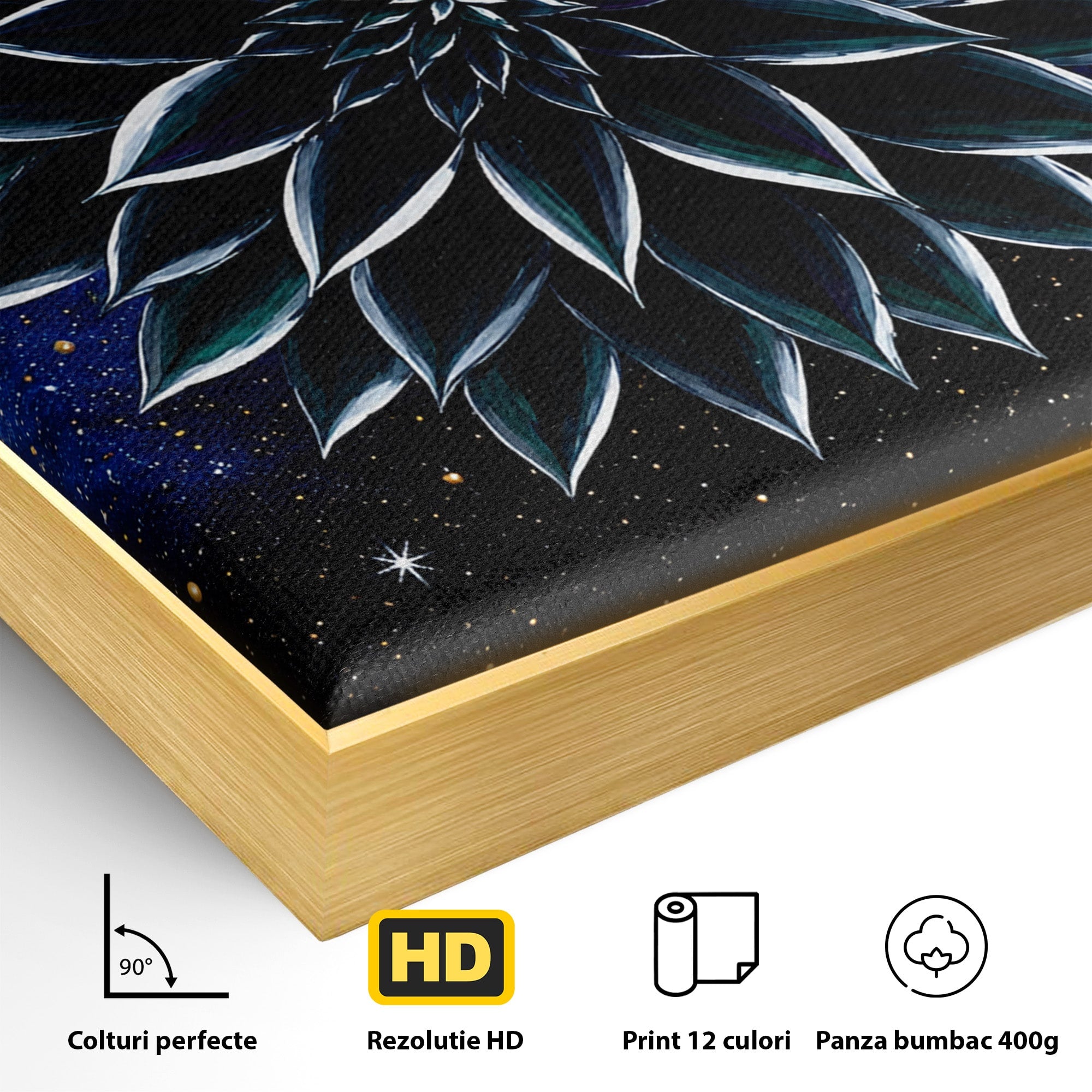 Tablou Canvas Premium LuxCanva® A1815, Floare Galactica, Floare, Univers, Abstract, Spatiu, Mister, Dormitor, Culori Vibrante