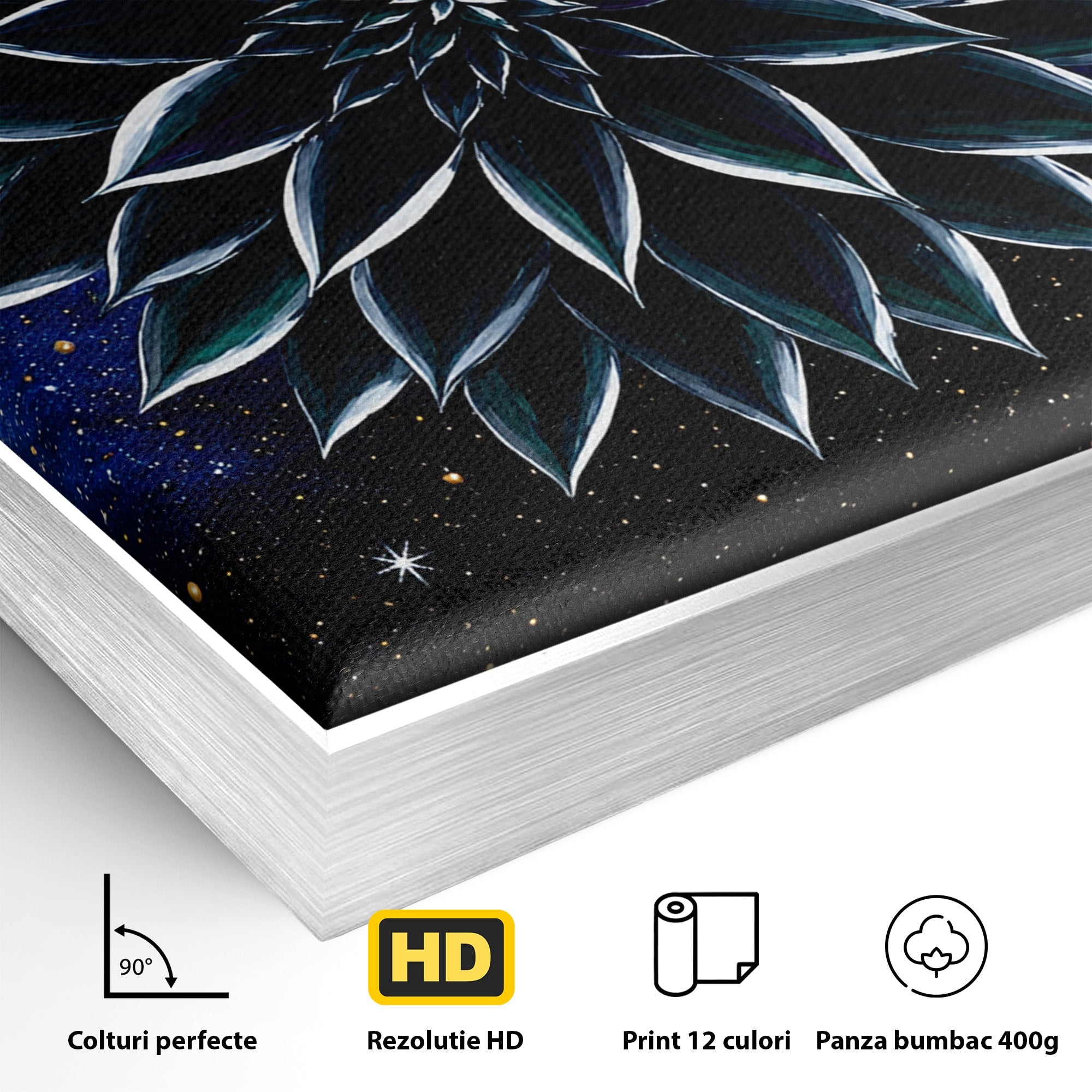 Tablou Canvas Premium LuxCanva® A1815, Floare Galactica, Floare, Univers, Abstract, Spatiu, Mister, Dormitor, Culori Vibrante