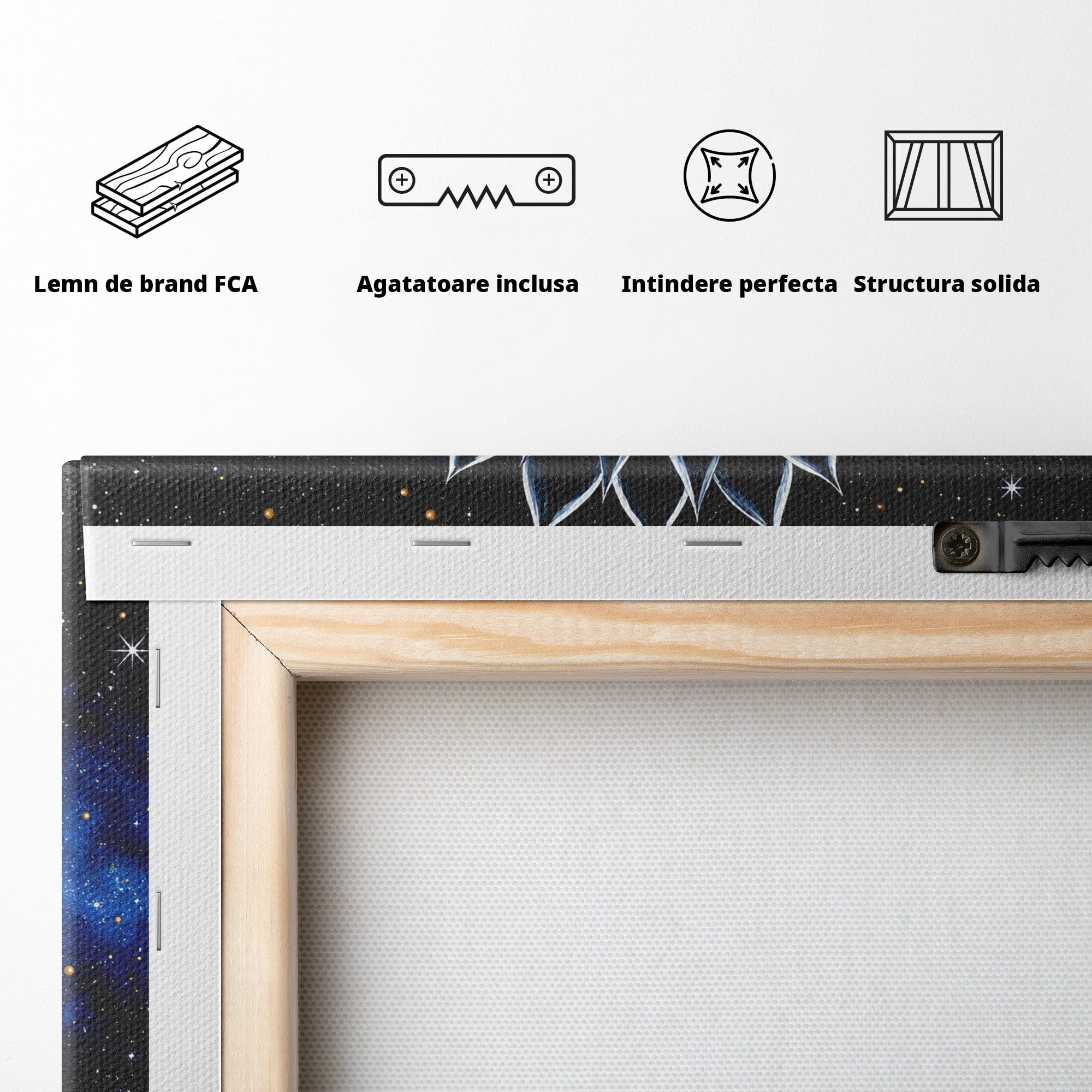 Tablou Canvas Premium LuxCanva® A1815, Floare Galactica, Floare, Univers, Abstract, Spatiu, Mister, Dormitor, Culori Vibrante