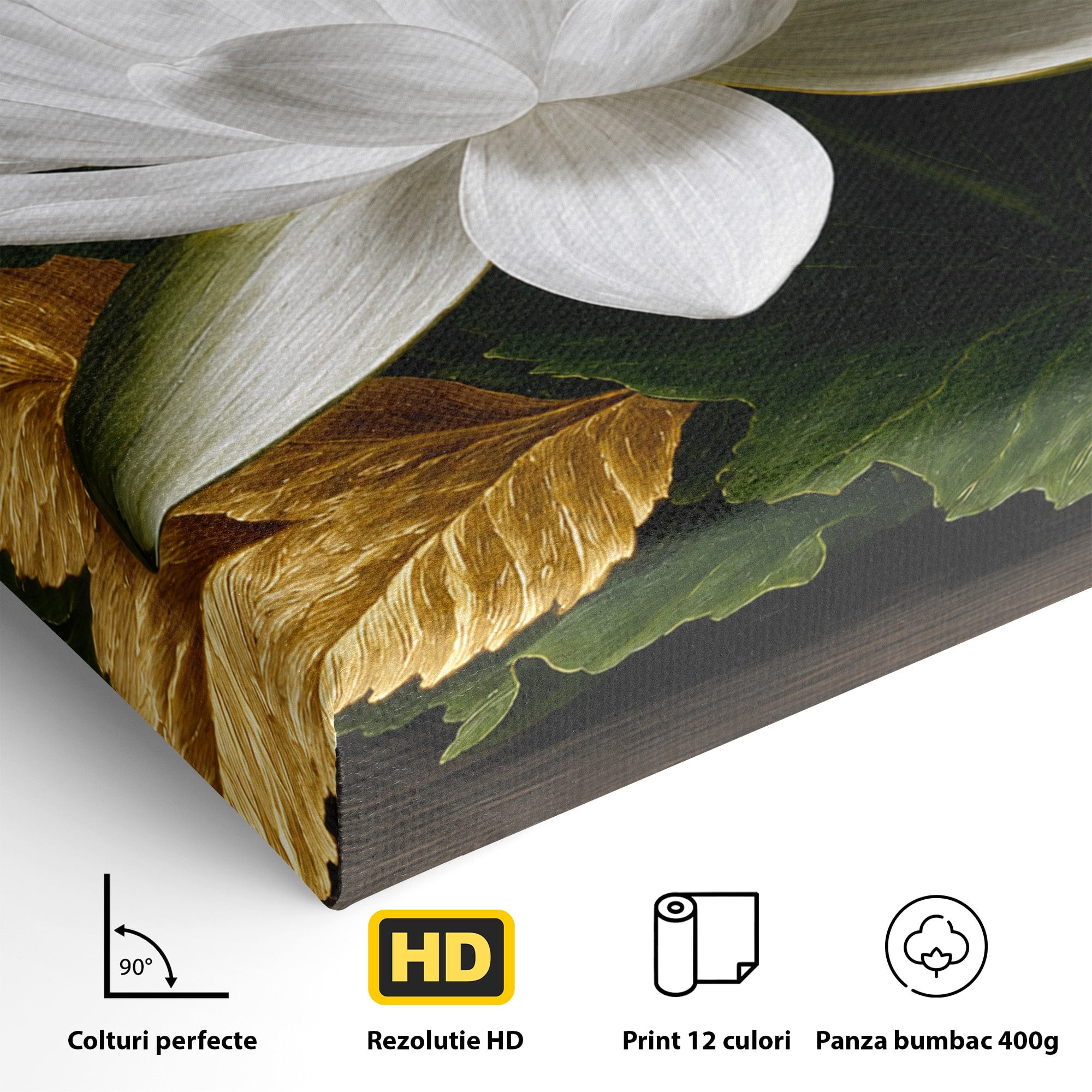 Tablou Canvas Premium LuxCanva® A1816, Splendoare Albă, Lotus, Elegant, Natura, Living, Dormitor, Culori Vibrante