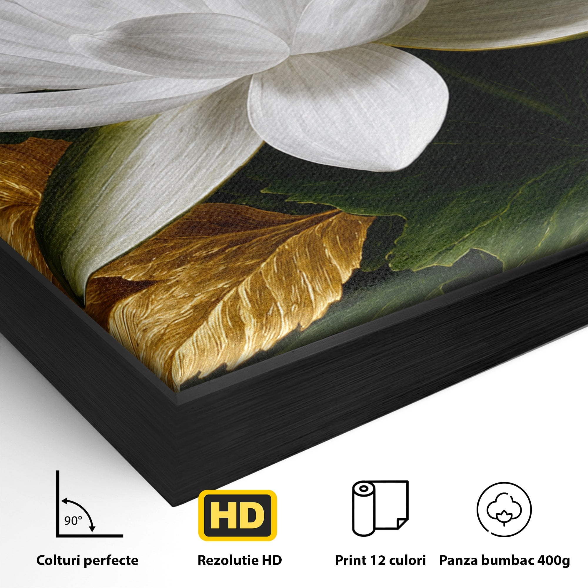 Tablou Canvas Premium LuxCanva® A1816, Splendoare Albă, Lotus, Elegant, Natura, Living, Dormitor, Culori Vibrante