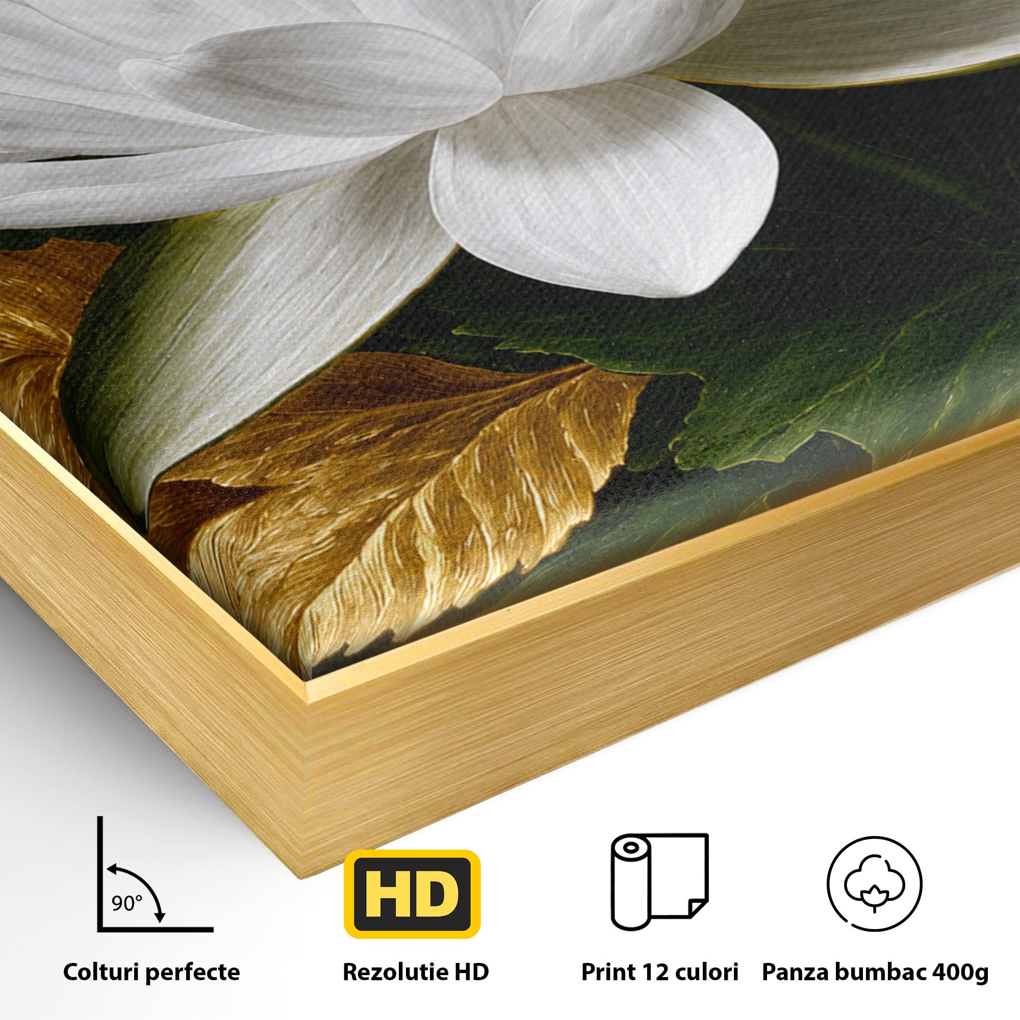 Tablou Canvas Premium LuxCanva® A1816, Splendoare Albă, Lotus, Elegant, Natura, Living, Dormitor, Culori Vibrante