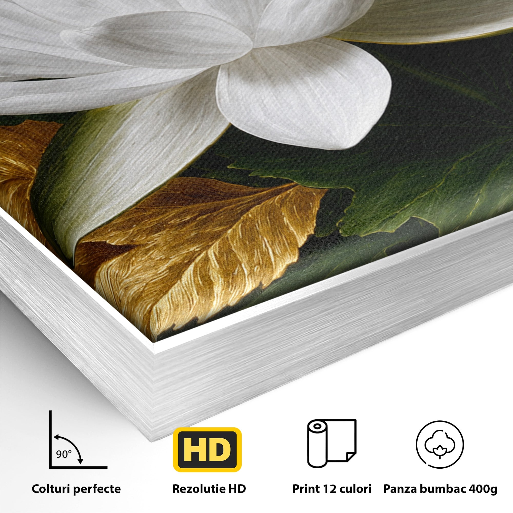 Tablou Canvas Premium LuxCanva® A1816, Splendoare Albă, Lotus, Elegant, Natura, Living, Dormitor, Culori Vibrante