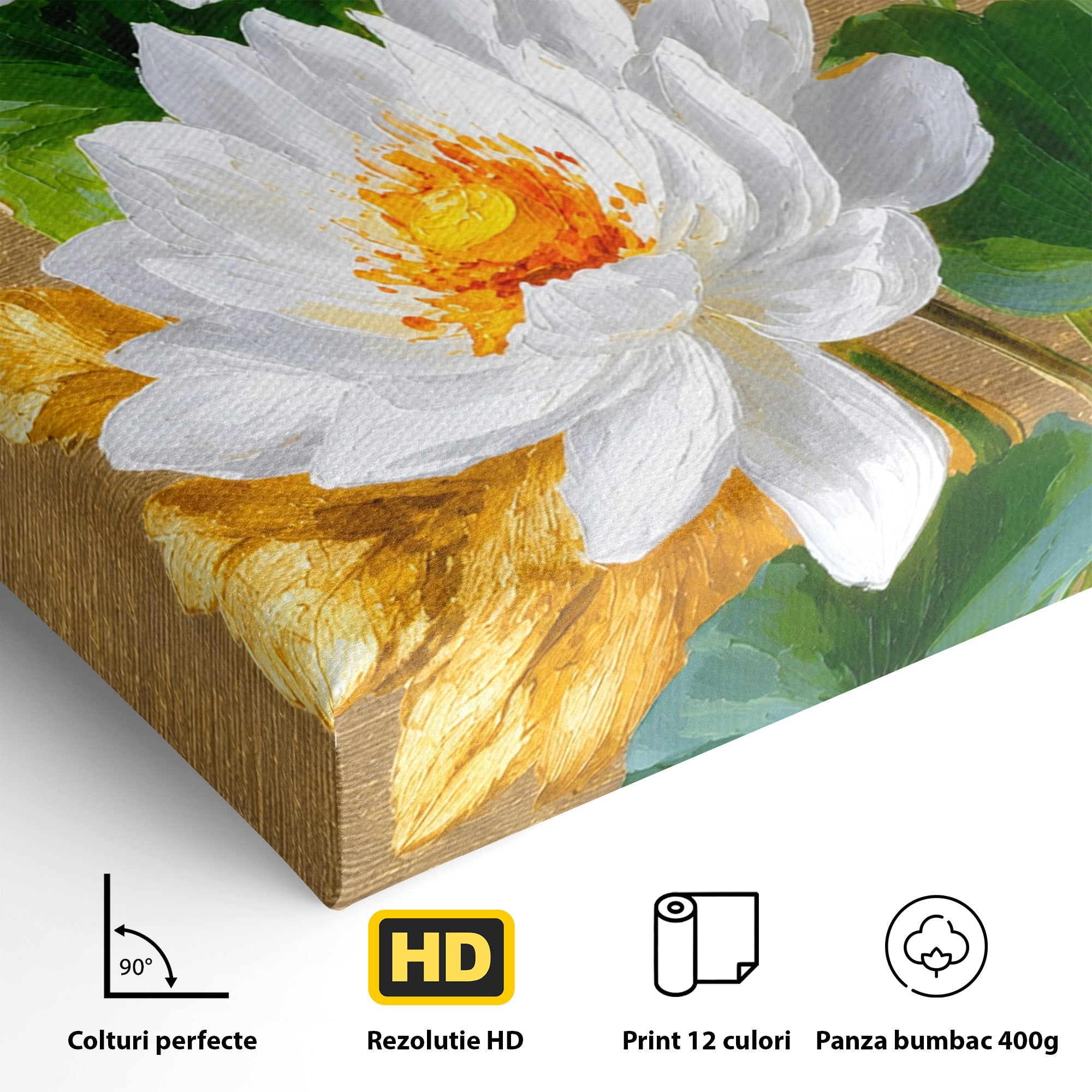 Tablou Canvas Premium LuxCanva® A1817, Armonie Florală, Flori, Lotus, Natura, Living, Dormitor, Culori Vibrante