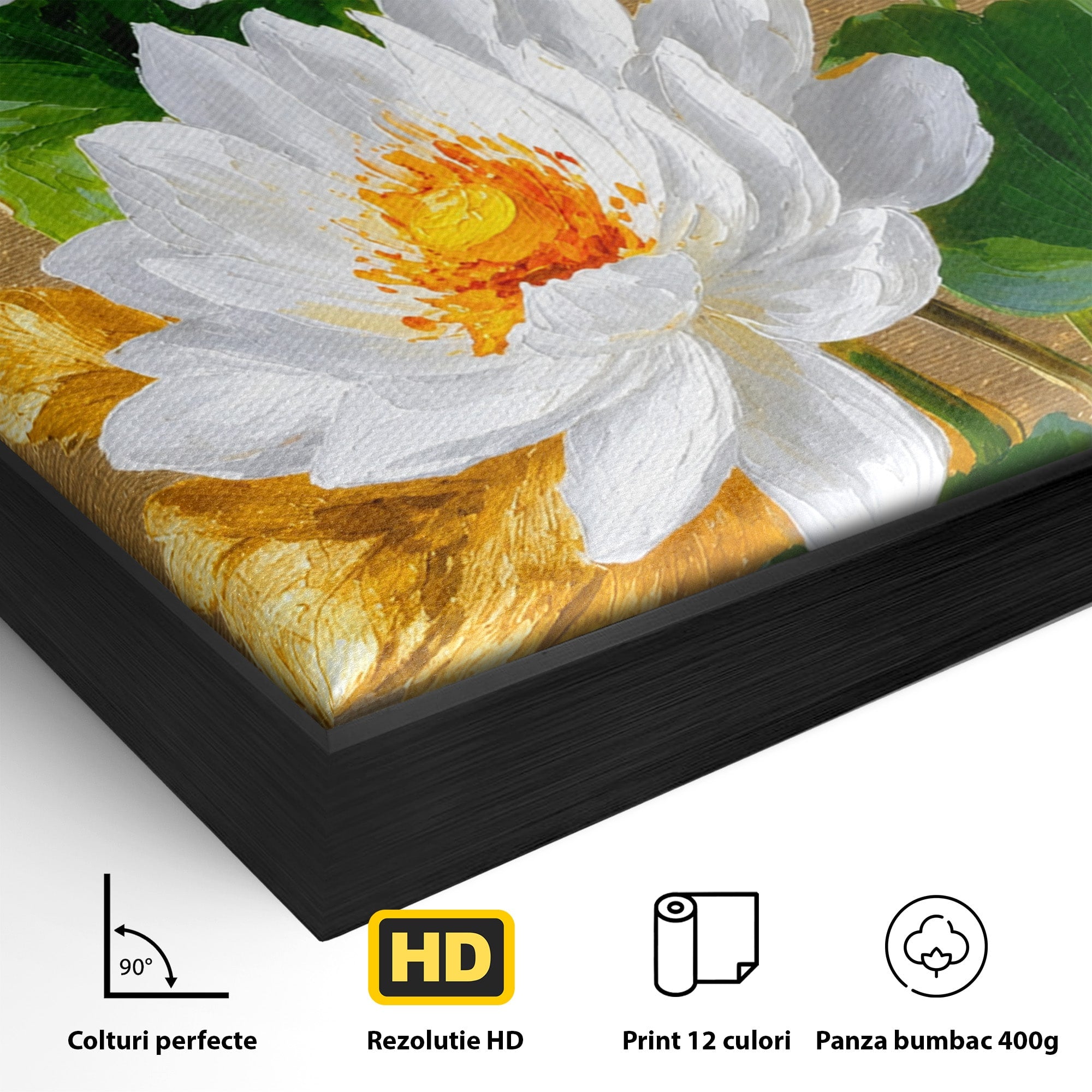 Tablou Canvas Premium LuxCanva® A1817, Armonie Florală, Flori, Lotus, Natura, Living, Dormitor, Culori Vibrante