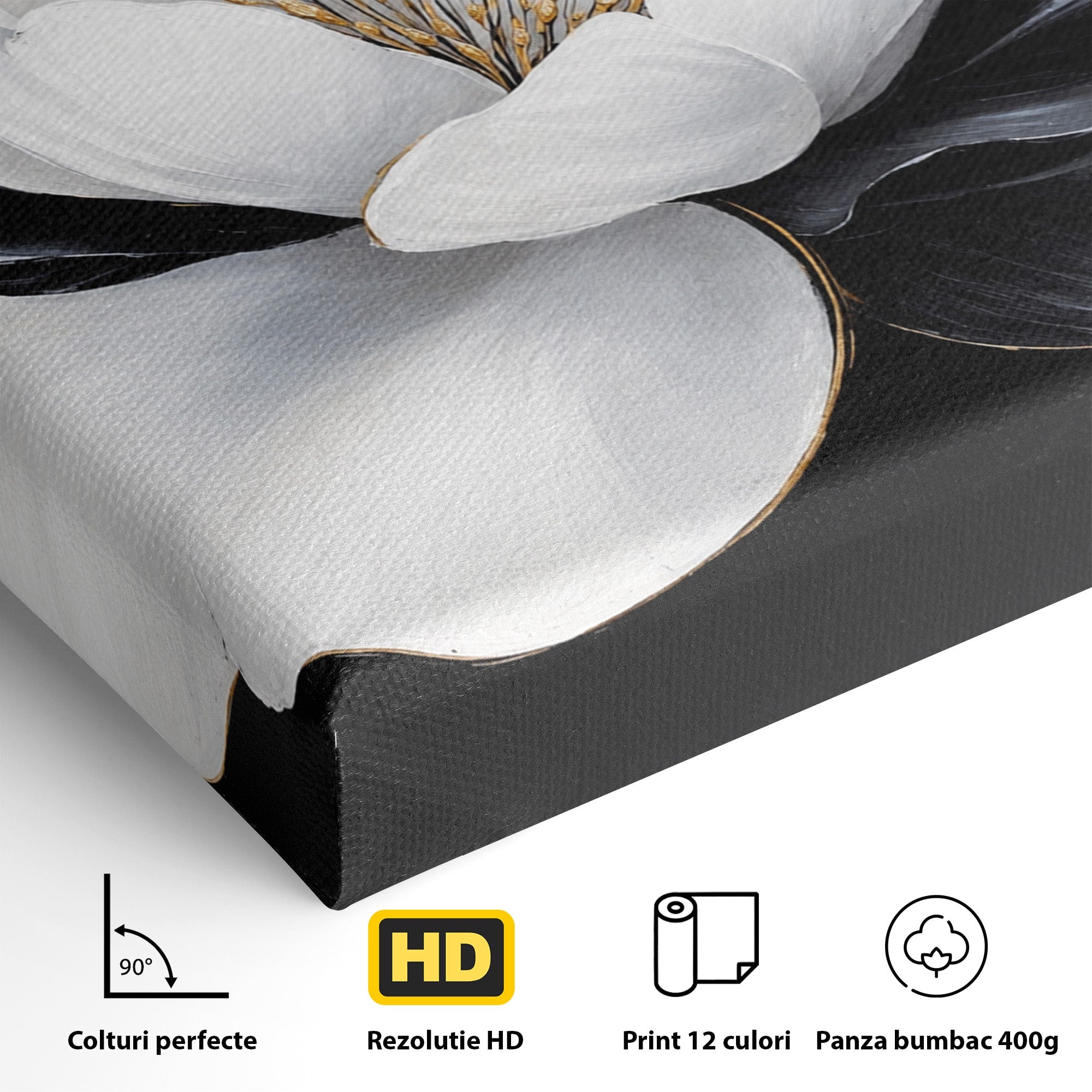 Tablou Canvas Premium LuxCanva® A1819, Floare Eleganta, Floare, Eleganta, Living, Modern, Dormitor, Culori Vibrante