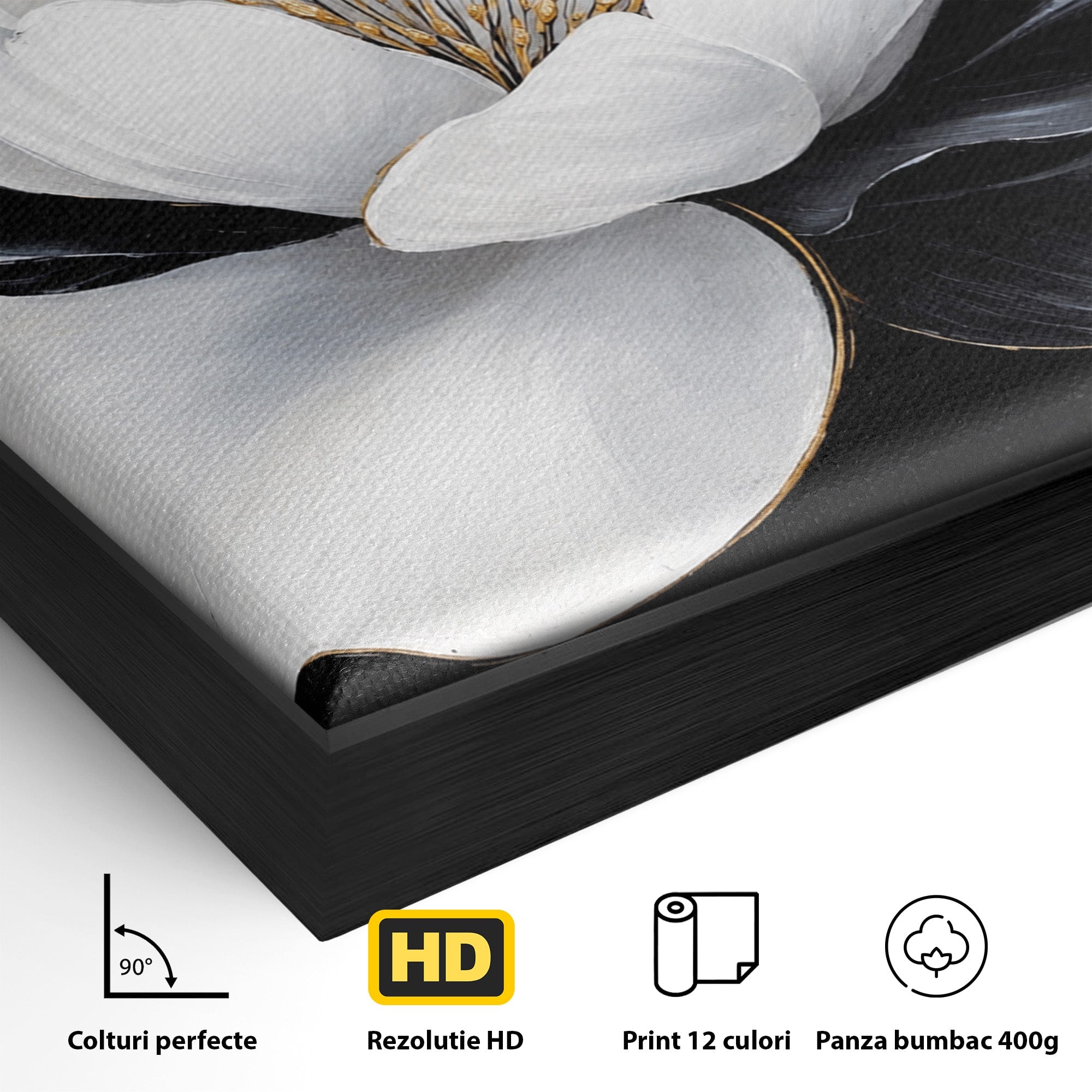 Tablou Canvas Premium LuxCanva® A1819, Floare Eleganta, Floare, Eleganta, Living, Modern, Dormitor, Culori Vibrante