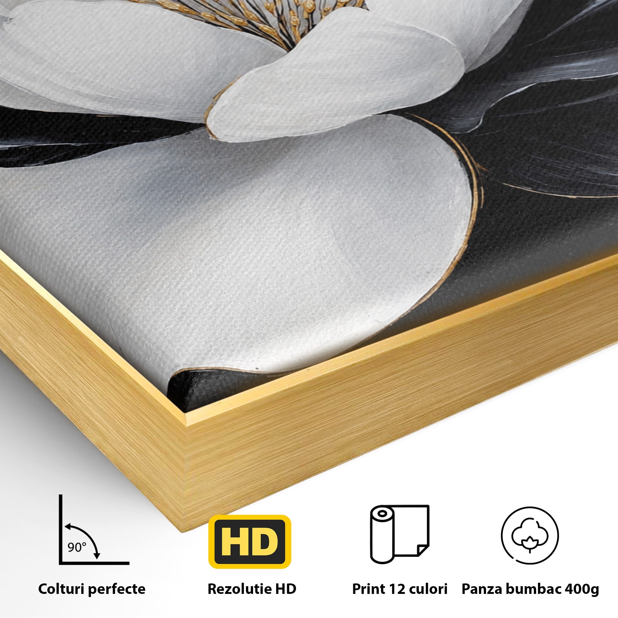 Tablou Canvas Premium LuxCanva® A1819, Floare Eleganta, Floare, Eleganta, Living, Modern, Dormitor, Culori Vibrante