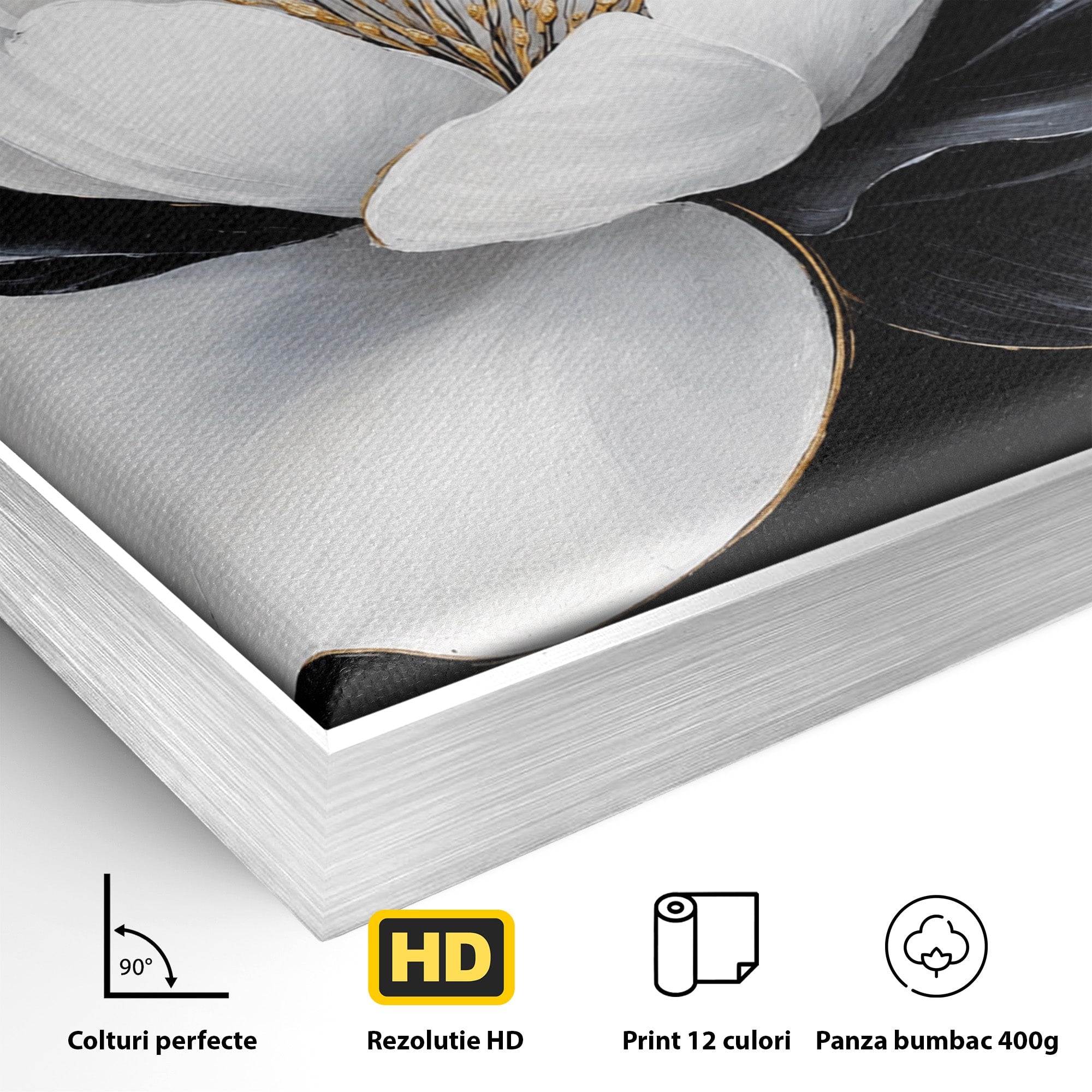 Tablou Canvas Premium LuxCanva® A1819, Floare Eleganta, Floare, Eleganta, Living, Modern, Dormitor, Culori Vibrante