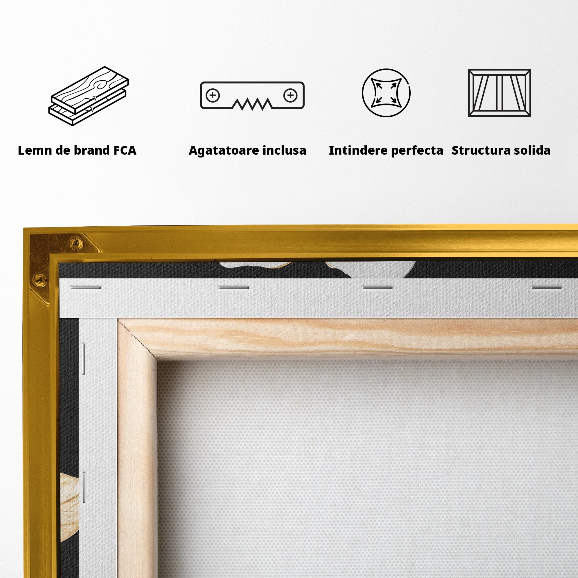 Tablou Canvas Premium LuxCanva® A1819, Floare Eleganta, Floare, Eleganta, Living, Modern, Dormitor, Culori Vibrante