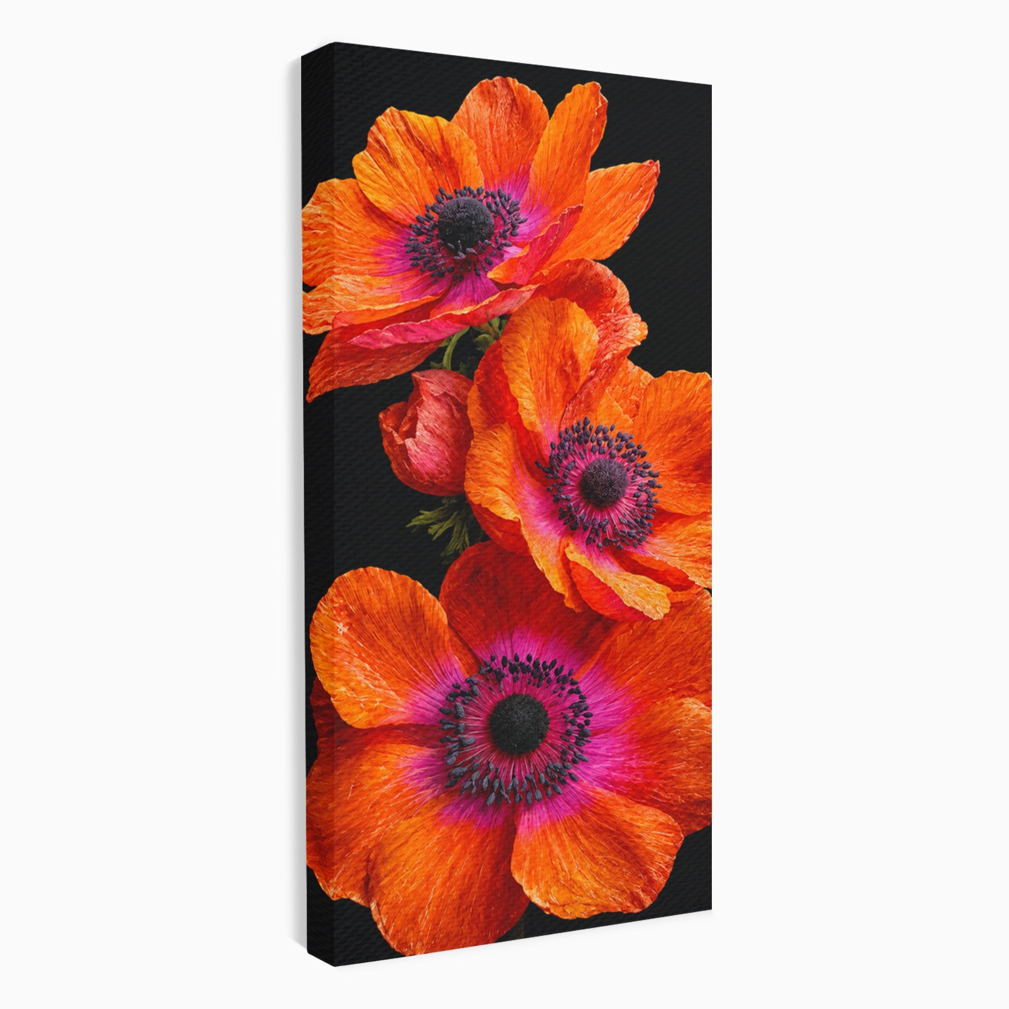 Tablou Canvas Premium LuxCanva® A1829, Maci Rosii, Maci, Flori, Natura, Vibrant, Dormitor, Culori Vibrante