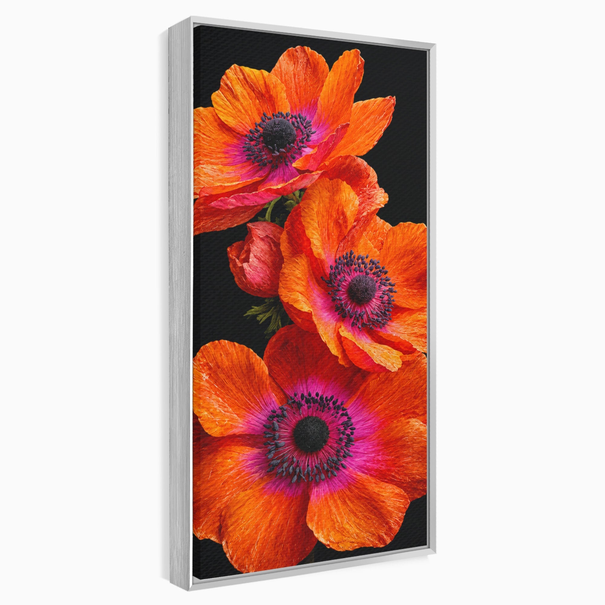 Tablou Canvas Premium LuxCanva® A1829, Maci Rosii, Maci, Flori, Natura, Vibrant, Dormitor, Culori Vibrante
