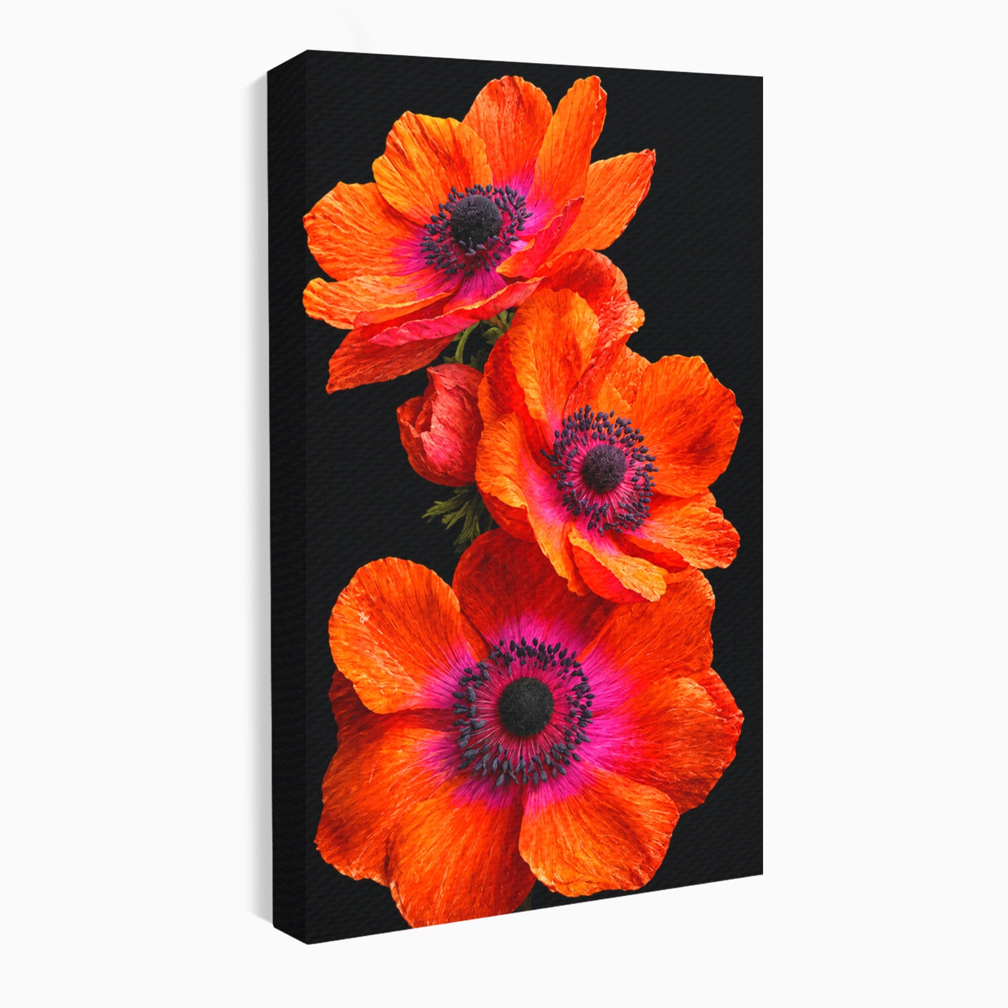 Tablou Canvas Premium LuxCanva® A1829, Maci Rosii, Maci, Flori, Natura, Vibrant, Dormitor, Culori Vibrante