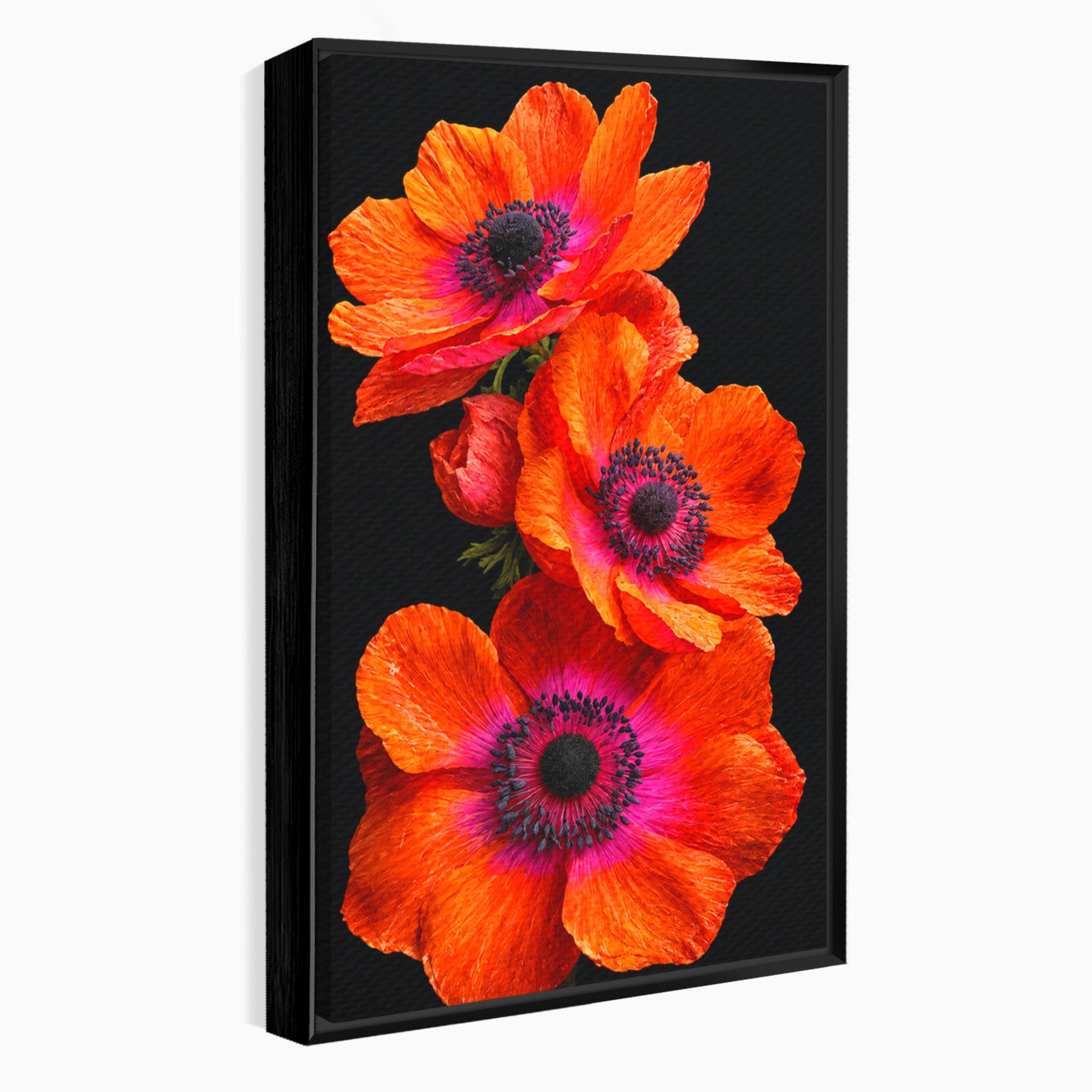 Tablou Canvas Premium LuxCanva® A1829, Maci Rosii, Maci, Flori, Natura, Vibrant, Dormitor, Culori Vibrante