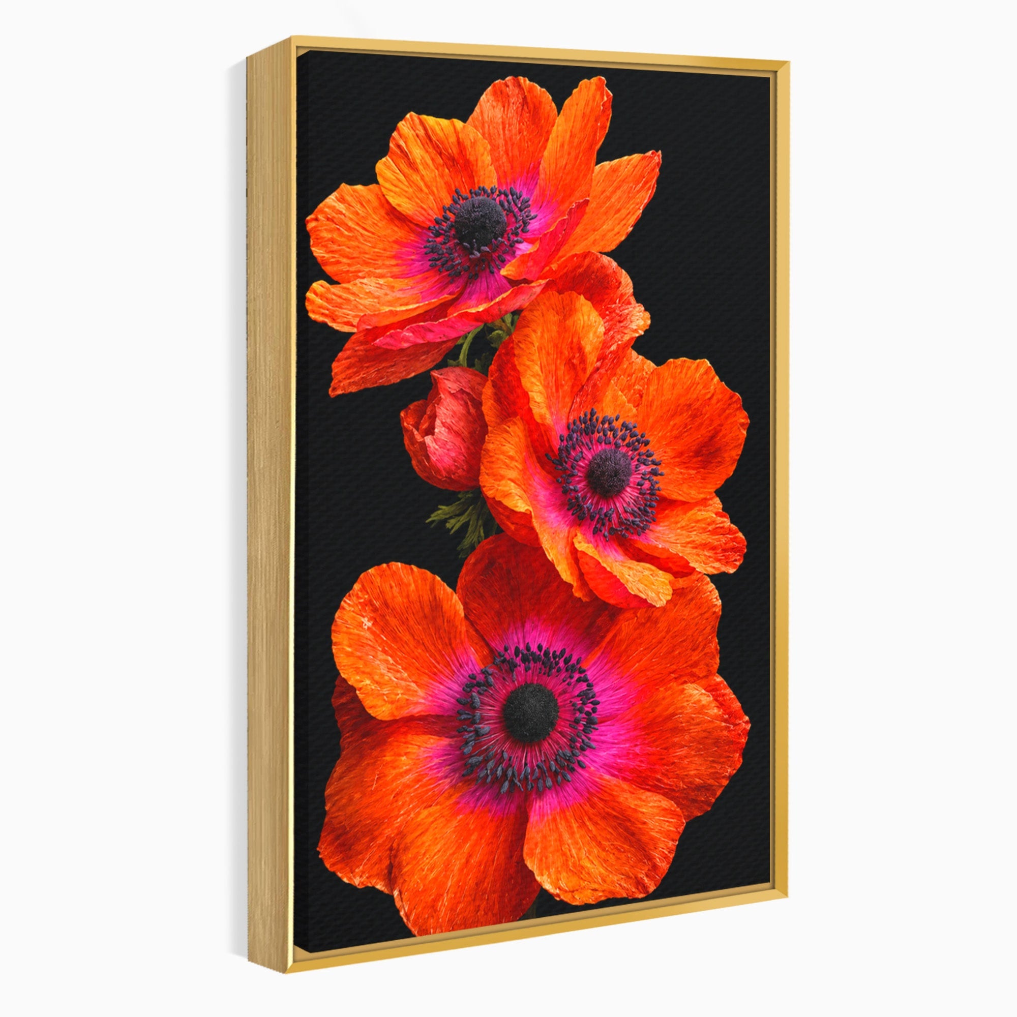 Tablou Canvas Premium LuxCanva® A1829, Maci Rosii, Maci, Flori, Natura, Vibrant, Dormitor, Culori Vibrante