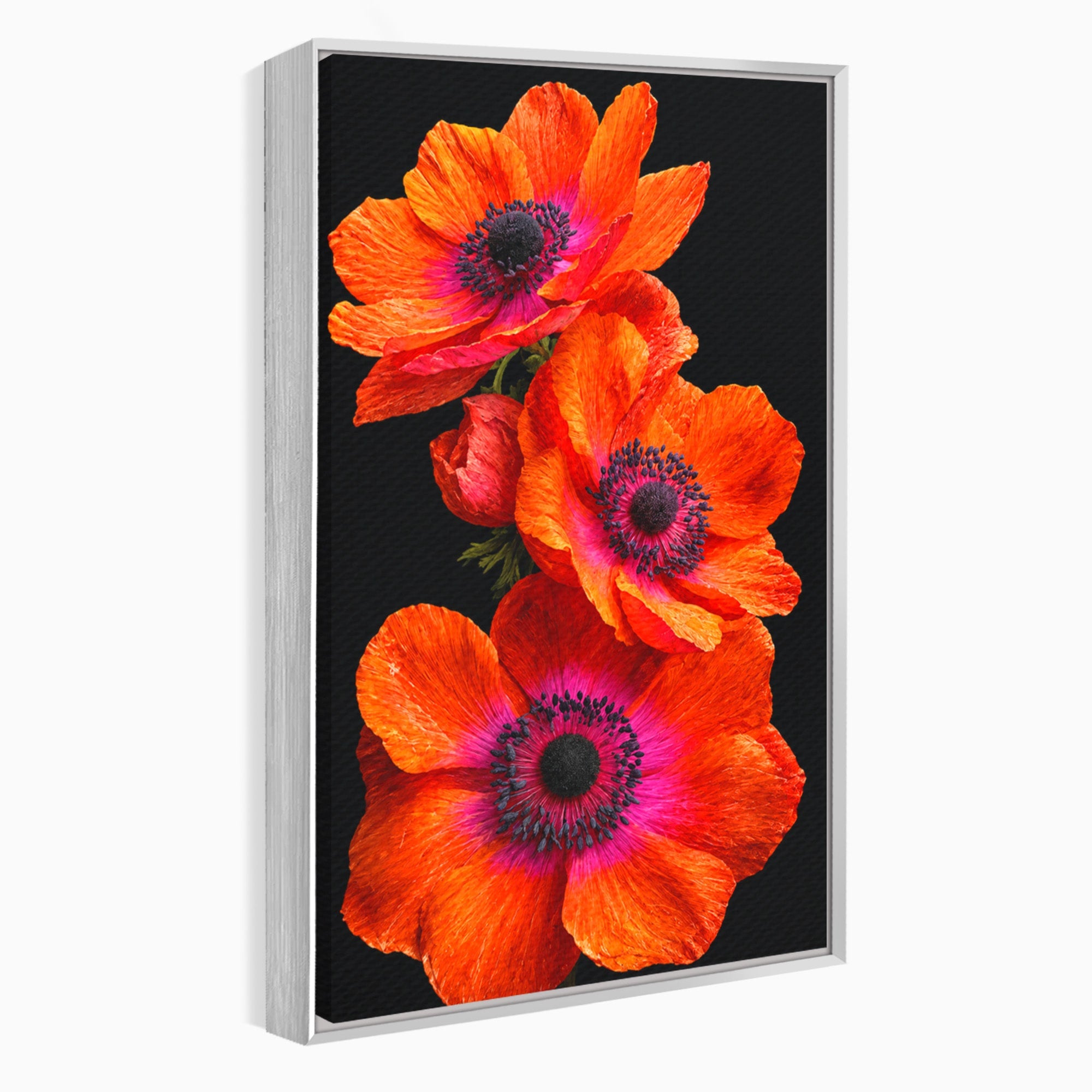 Tablou Canvas Premium LuxCanva® A1829, Maci Rosii, Maci, Flori, Natura, Vibrant, Dormitor, Culori Vibrante