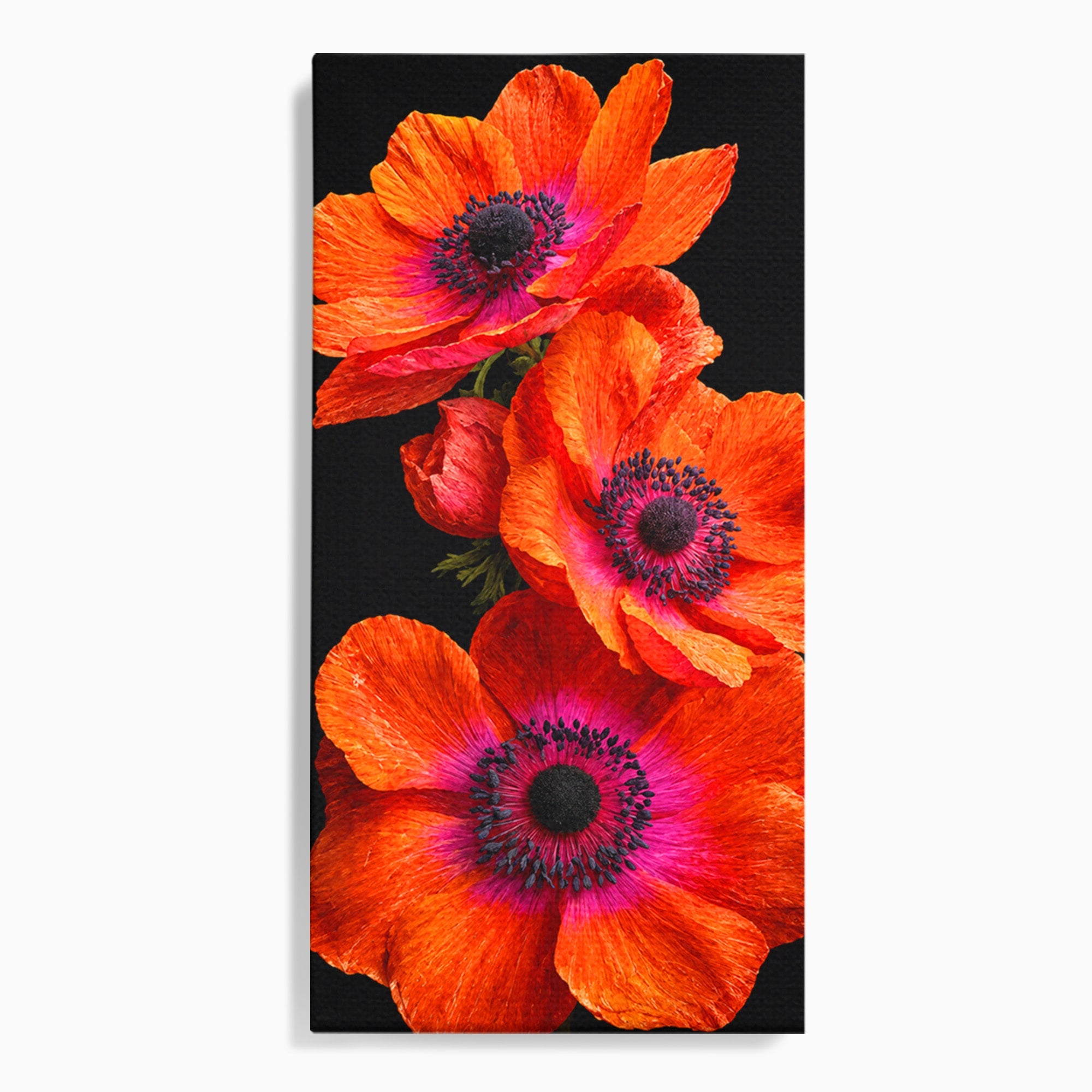 Tablou Canvas Premium LuxCanva® A1829, Maci Rosii, Maci, Flori, Natura, Vibrant, Dormitor, Culori Vibrante