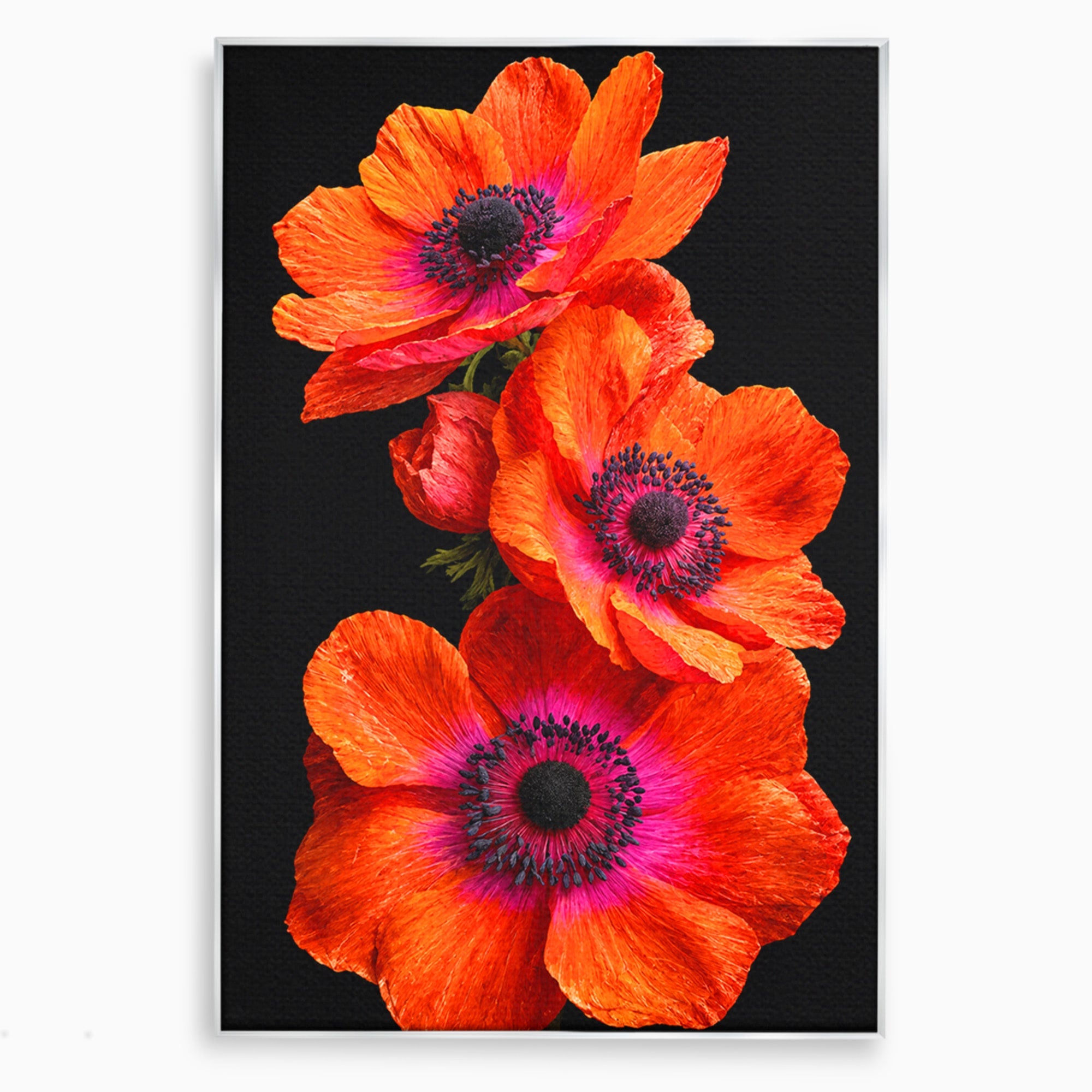 Tablou Canvas Premium LuxCanva® A1829, Maci Rosii, Maci, Flori, Natura, Vibrant, Dormitor, Culori Vibrante