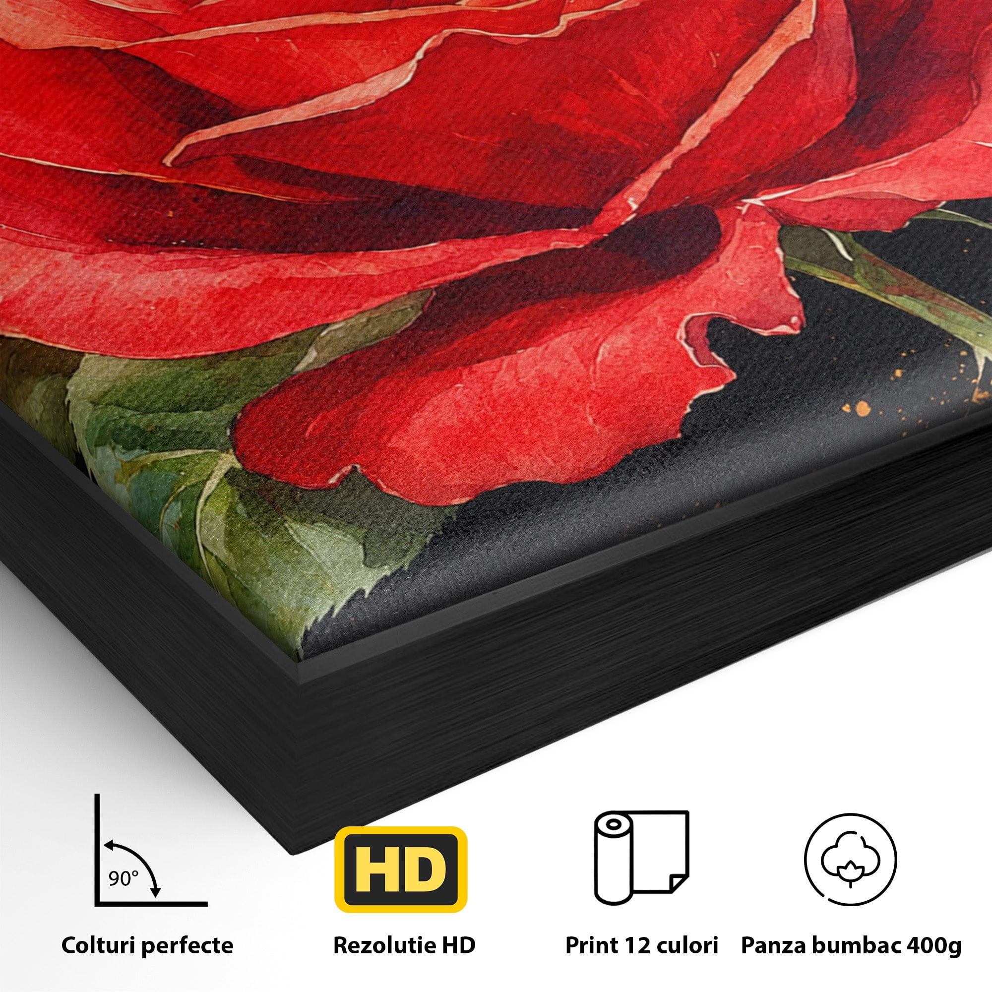 Tablou Canvas Premium LuxCanva® A1837, Trandafir Rosu Regal, Trandafir, Floral, Eleganta, Romantic, Dormitor, Culori Vibrante