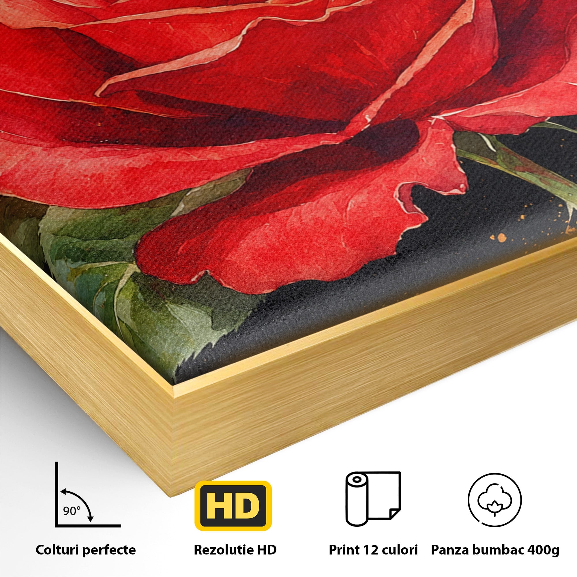 Tablou Canvas Premium LuxCanva® A1837, Trandafir Rosu Regal, Trandafir, Floral, Eleganta, Romantic, Dormitor, Culori Vibrante