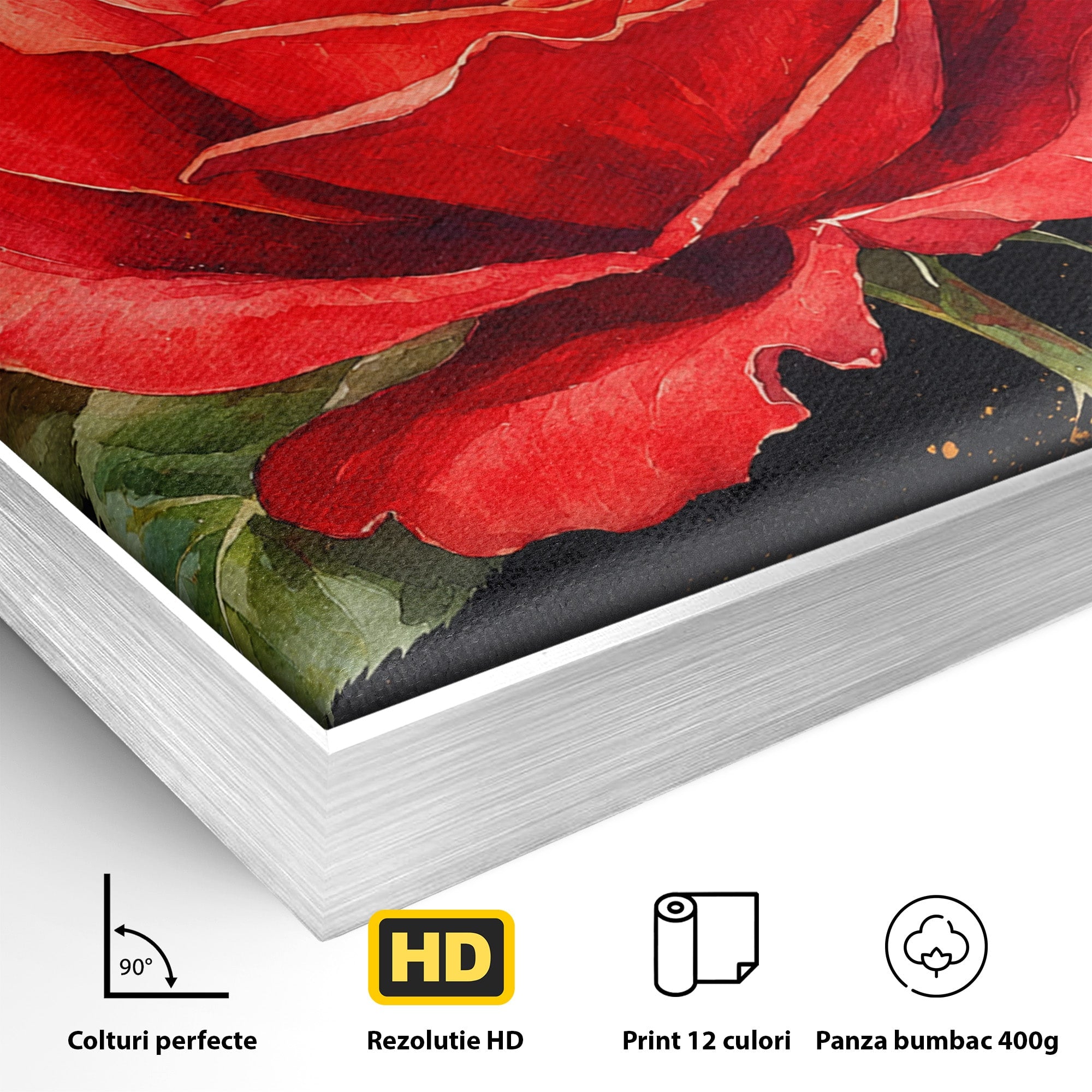 Tablou Canvas Premium LuxCanva® A1837, Trandafir Rosu Regal, Trandafir, Floral, Eleganta, Romantic, Dormitor, Culori Vibrante