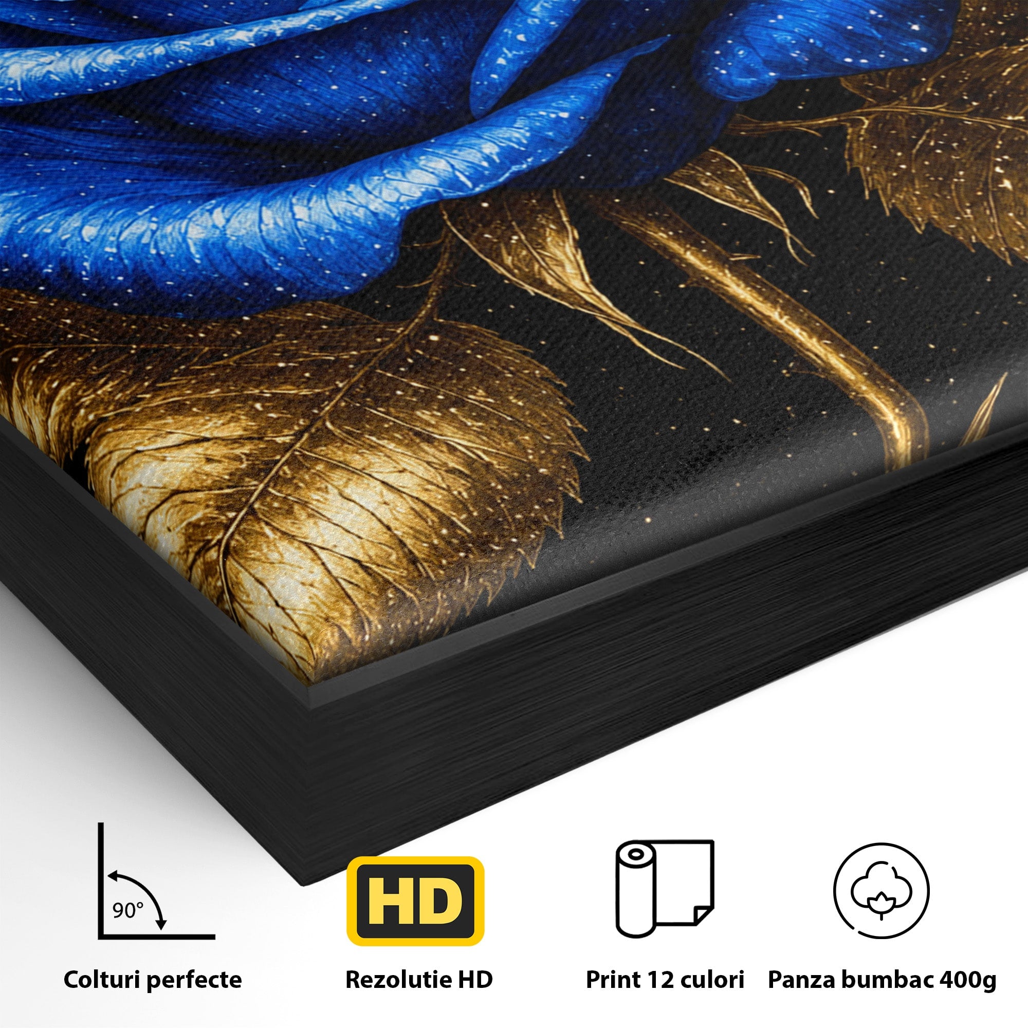 Tablou Canvas Premium LuxCanva® A1845, Noapte de Safir, Trandafir, Floare, Lux, Eleganta, Dormitor, Living, Culori Vibrante