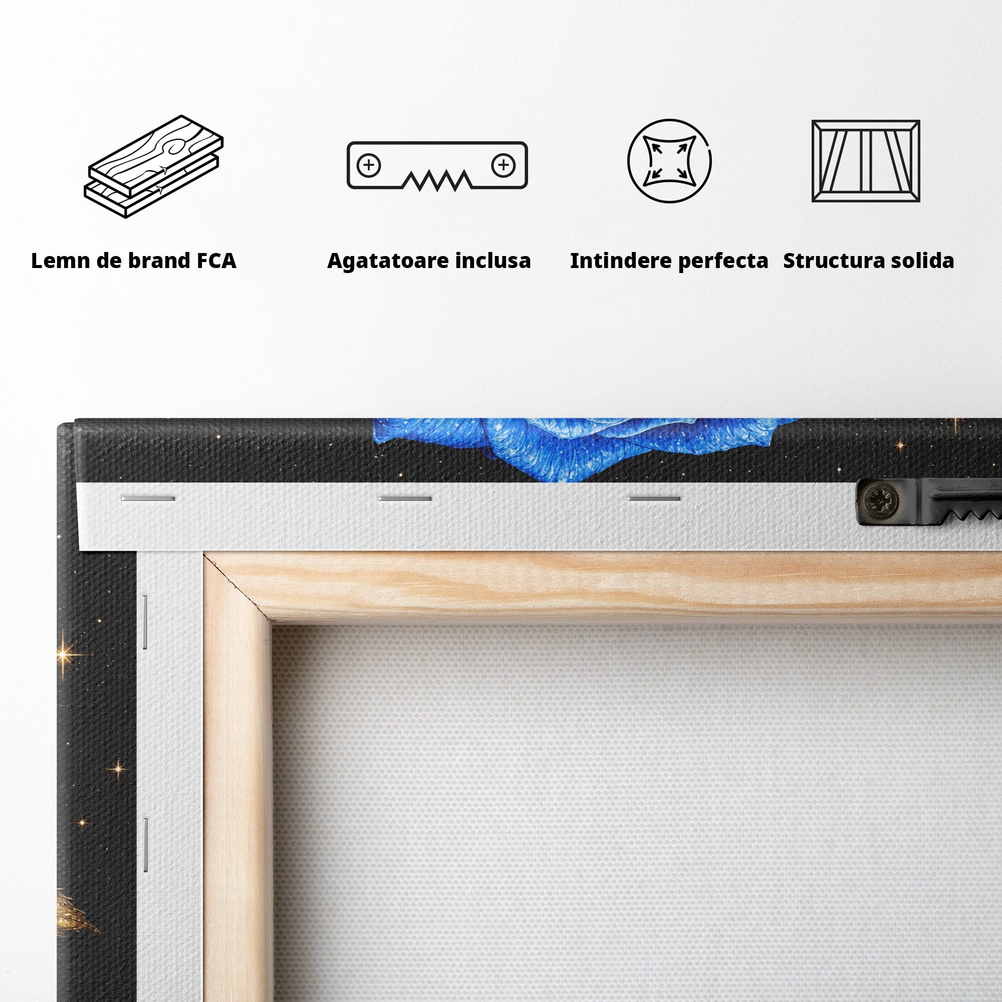 Tablou Canvas Premium LuxCanva® A1845, Noapte de Safir, Trandafir, Floare, Lux, Eleganta, Dormitor, Living, Culori Vibrante