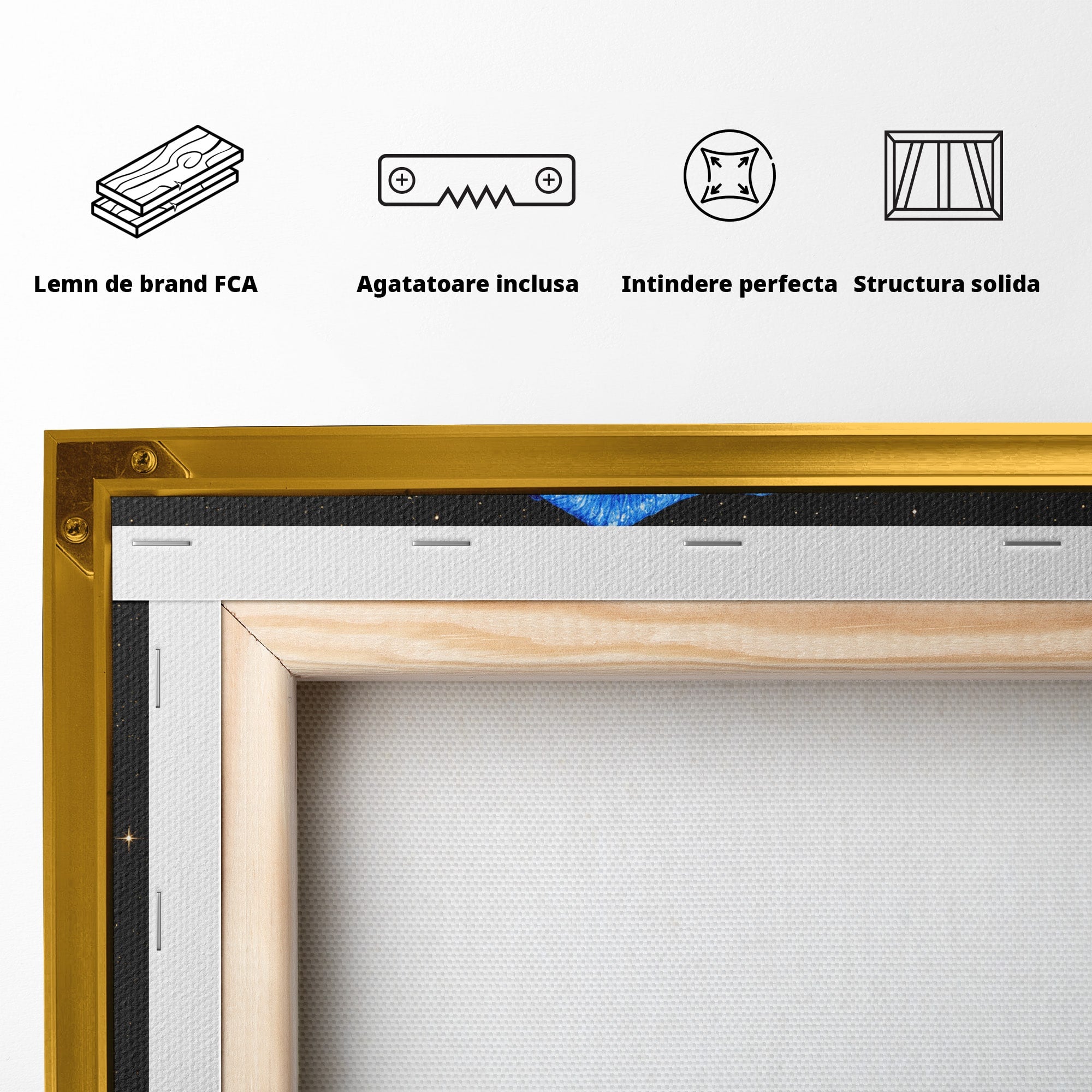 Tablou Canvas Premium LuxCanva® A1845, Noapte de Safir, Trandafir, Floare, Lux, Eleganta, Dormitor, Living, Culori Vibrante