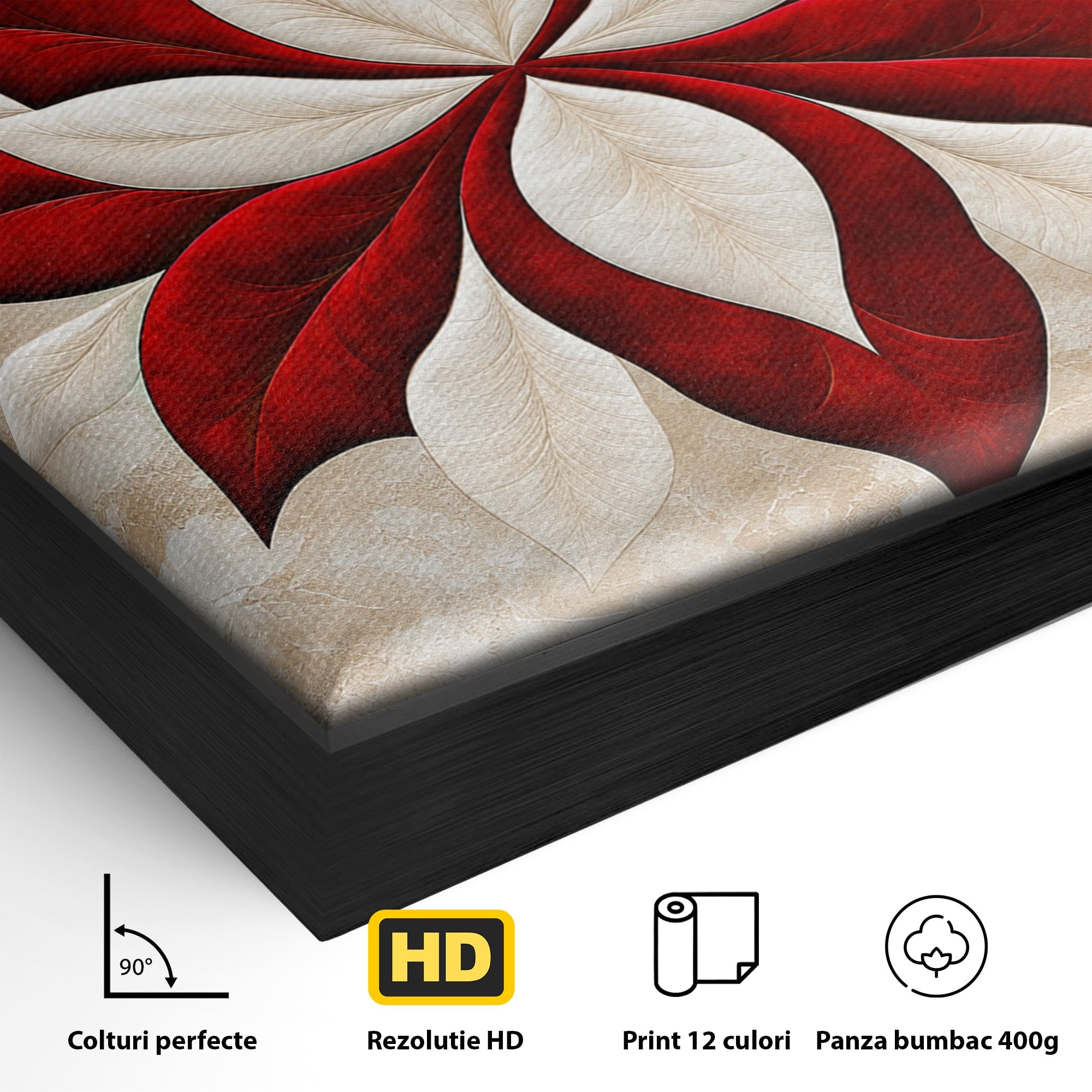Tablou Canvas Premium LuxCanva® A1846, Floare Simetrica Abstracta, Floare, Abstract, Simetrie, Arta Moderna, Dormitor, Culori Vibrante
