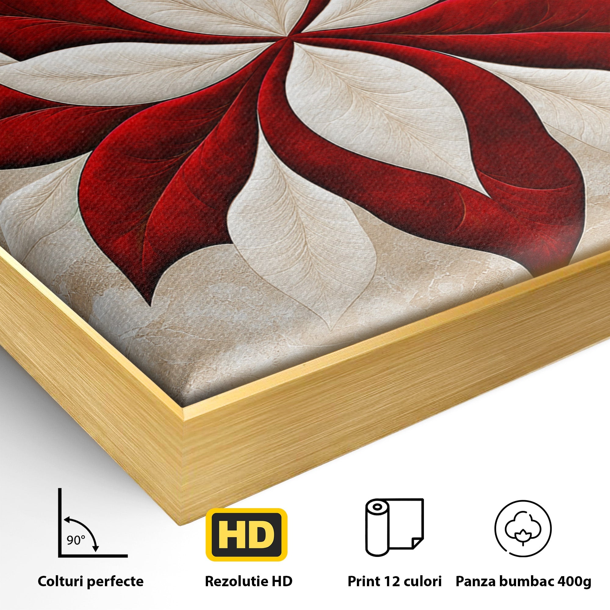 Tablou Canvas Premium LuxCanva® A1846, Floare Simetrica Abstracta, Floare, Abstract, Simetrie, Arta Moderna, Dormitor, Culori Vibrante