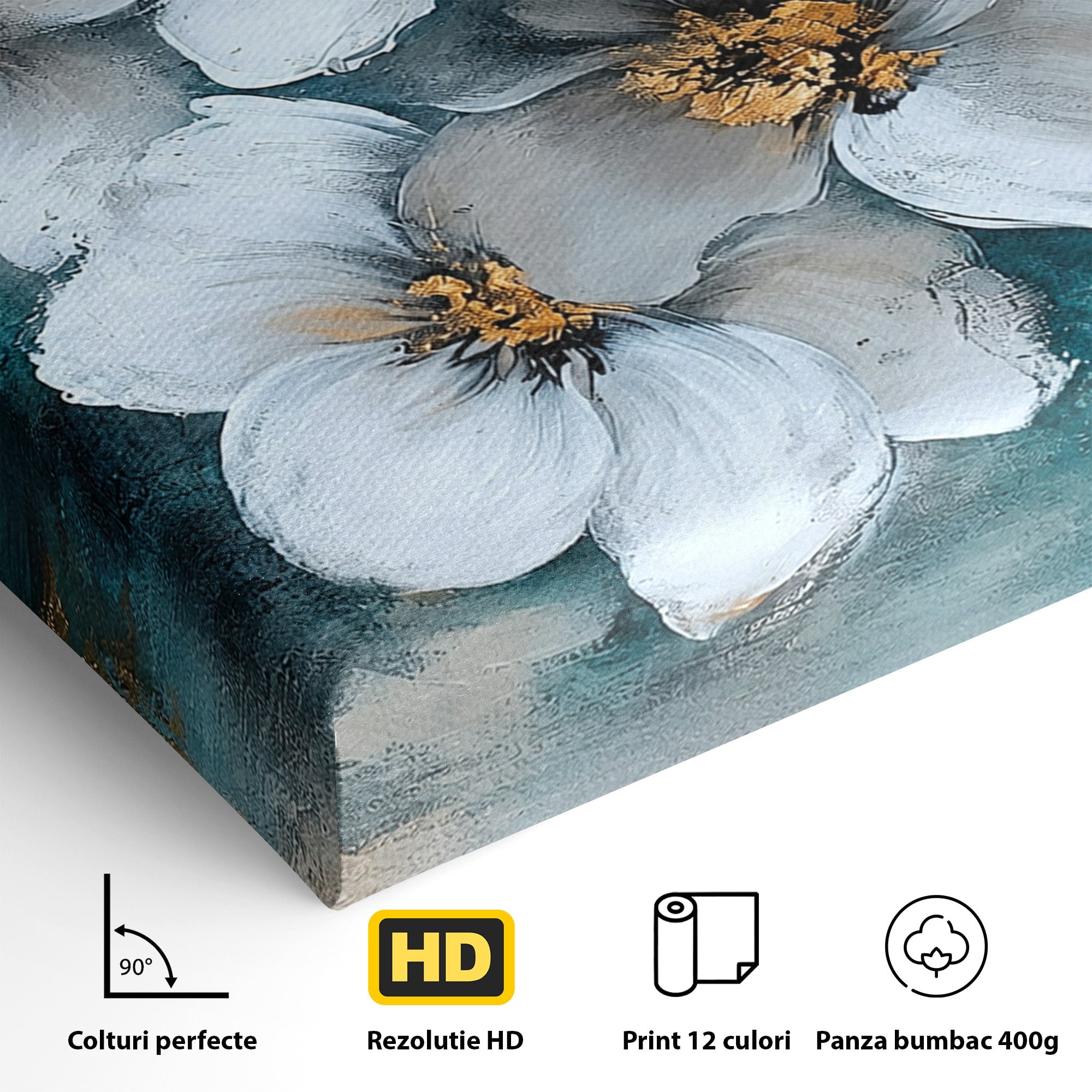 Tablou Canvas Premium LuxCanva® A1851, Petale de Lumină, Flori, Abstract, Natura, Living, Dormitor, Culori Vibrante
