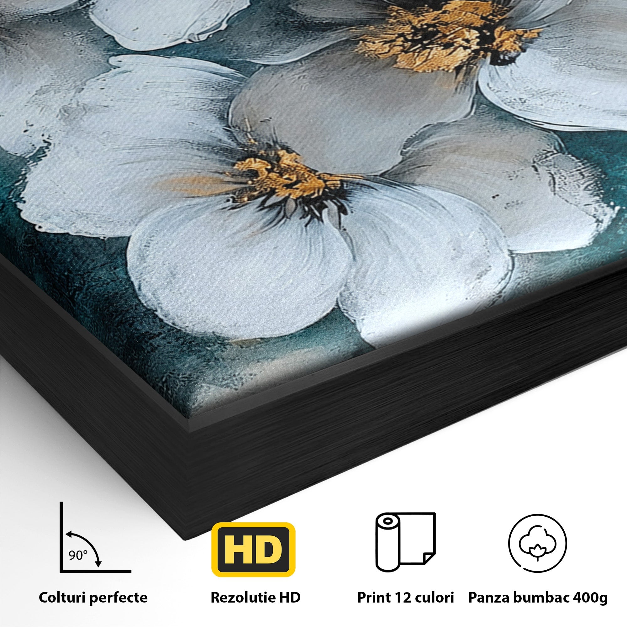 Tablou Canvas Premium LuxCanva® A1851, Petale de Lumină, Flori, Abstract, Natura, Living, Dormitor, Culori Vibrante