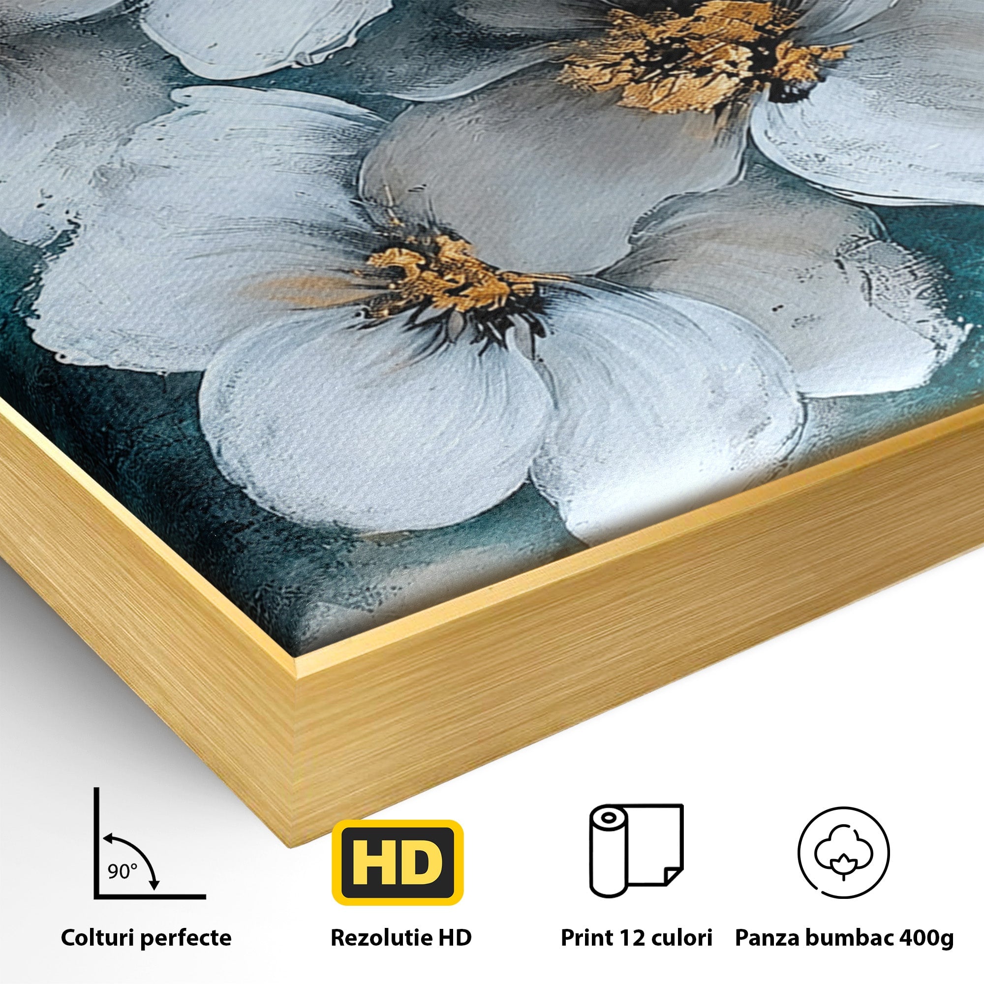 Tablou Canvas Premium LuxCanva® A1851, Petale de Lumină, Flori, Abstract, Natura, Living, Dormitor, Culori Vibrante