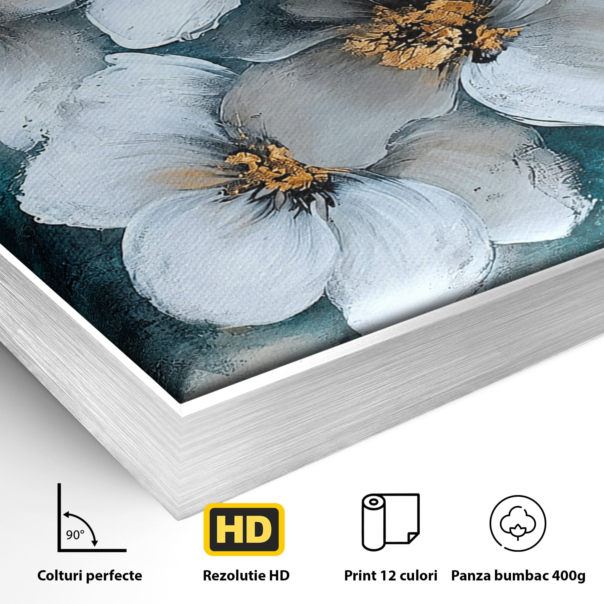Tablou Canvas Premium LuxCanva® A1851, Petale de Lumină, Flori, Abstract, Natura, Living, Dormitor, Culori Vibrante