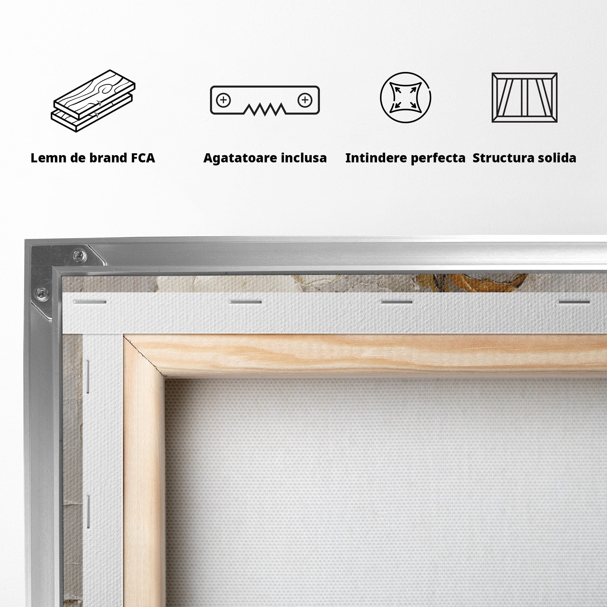 Tablou Canvas Premium LuxCanva® A1861, Flori Albe Texturate, Flori, Texturat, Natura, Living, Dormitor, Culori Vibrante