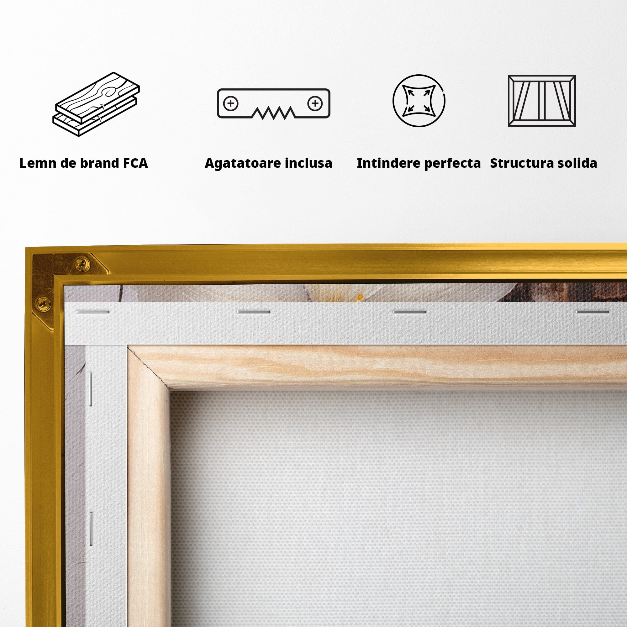 Tablou Canvas Premium LuxCanva® A1862, Floare Delicata, Flori, Arta, Natura, Eleganta, Living, Culori Vibrante