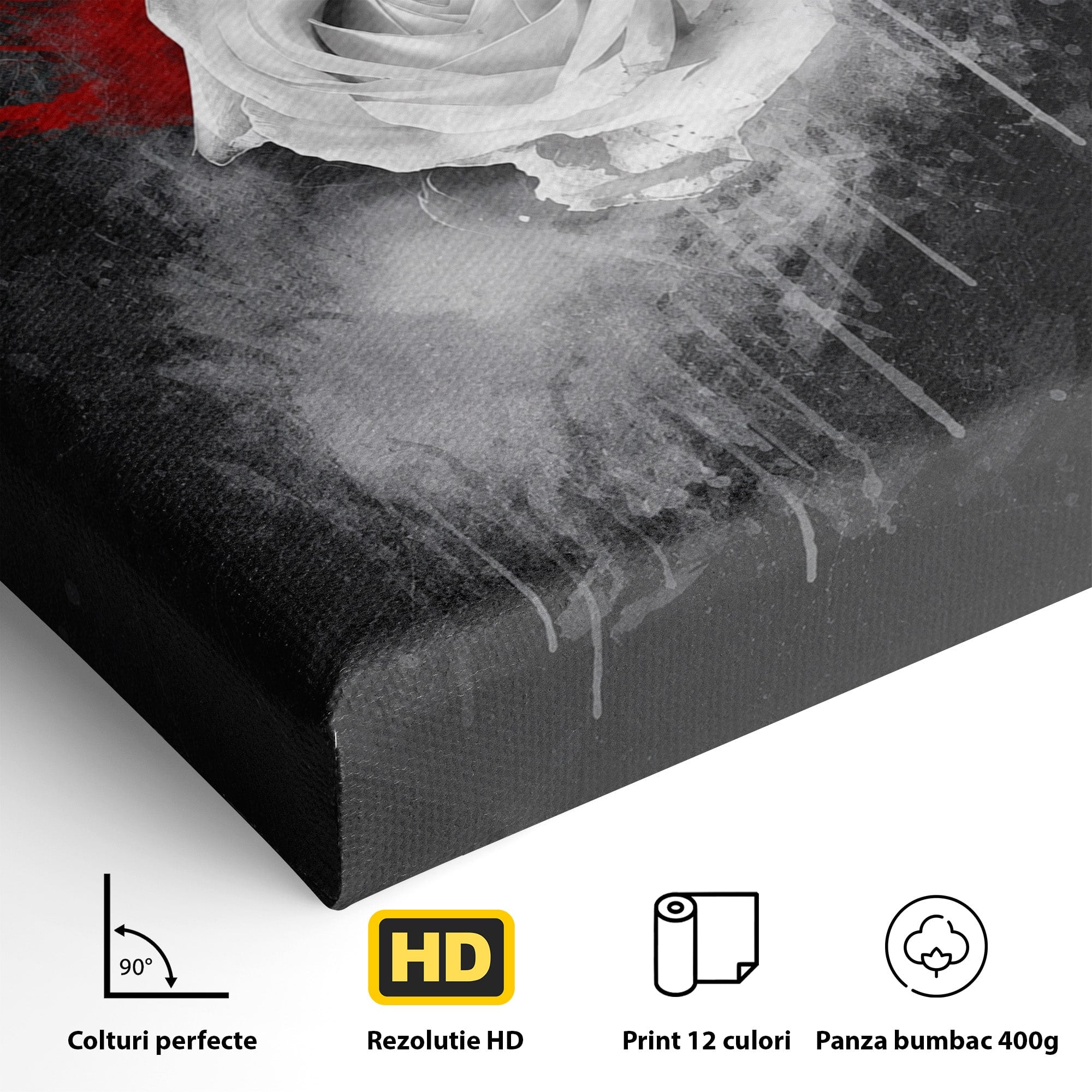 Tablou Canvas Premium LuxCanva® A1873, Trandafirul Monocrom, Trandafir, Arta Abstracta, Floral, Dramatic, Dormitor, Culori Vibrante