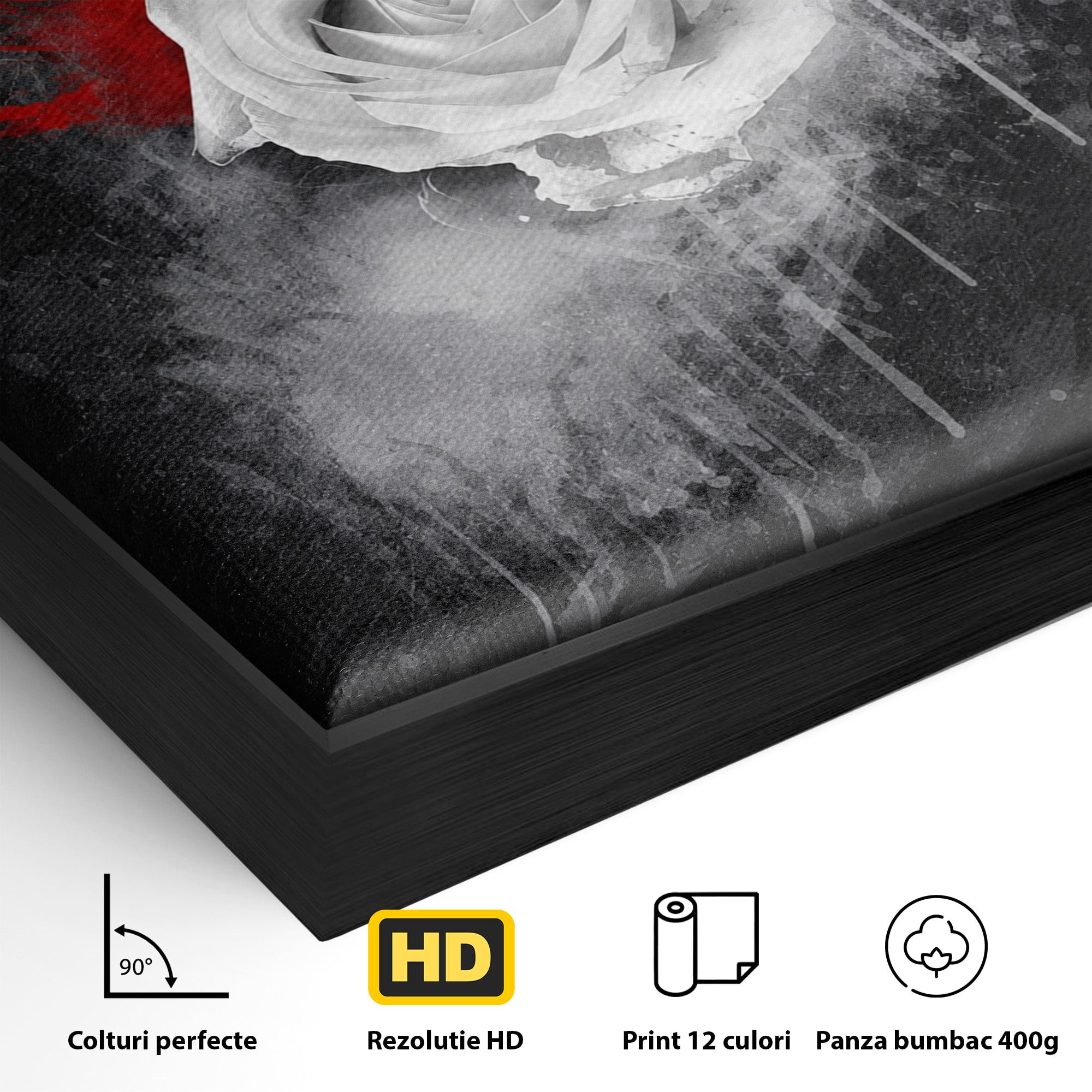 Tablou Canvas Premium LuxCanva® A1873, Trandafirul Monocrom, Trandafir, Arta Abstracta, Floral, Dramatic, Dormitor, Culori Vibrante
