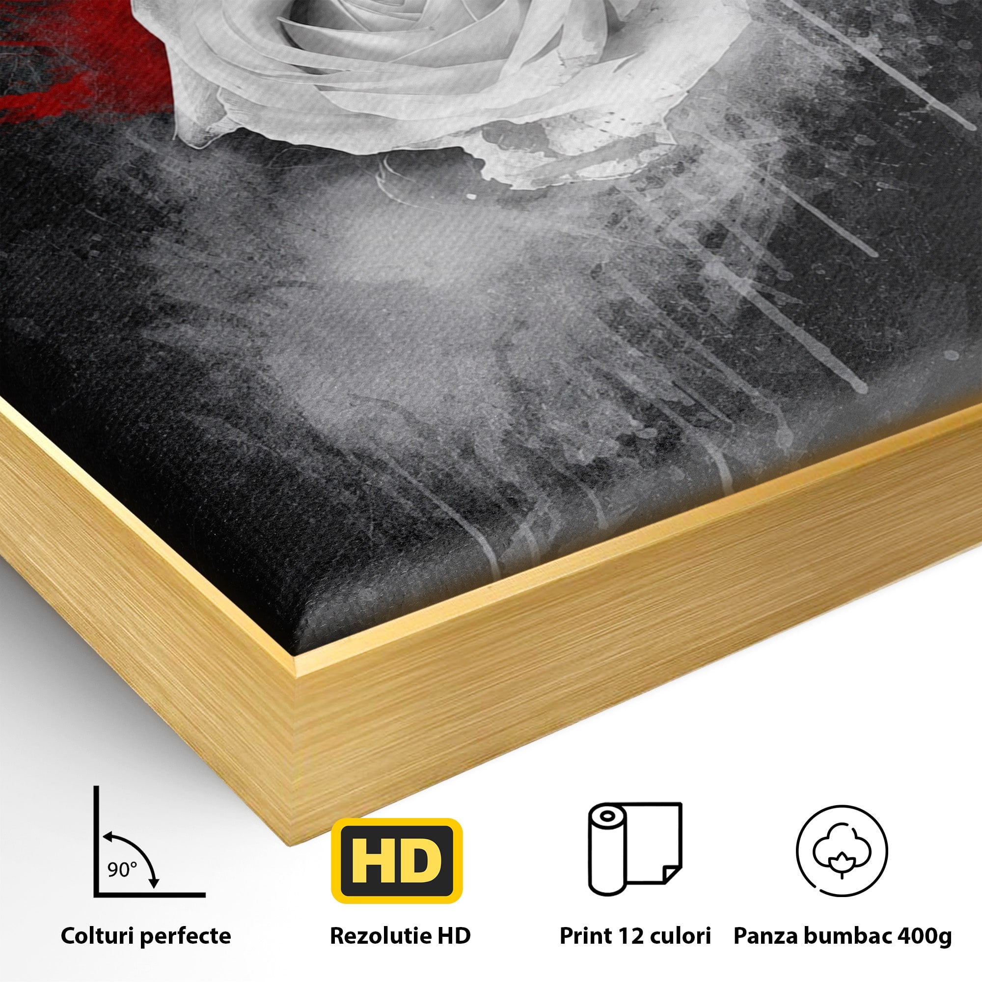 Tablou Canvas Premium LuxCanva® A1873, Trandafirul Monocrom, Trandafir, Arta Abstracta, Floral, Dramatic, Dormitor, Culori Vibrante